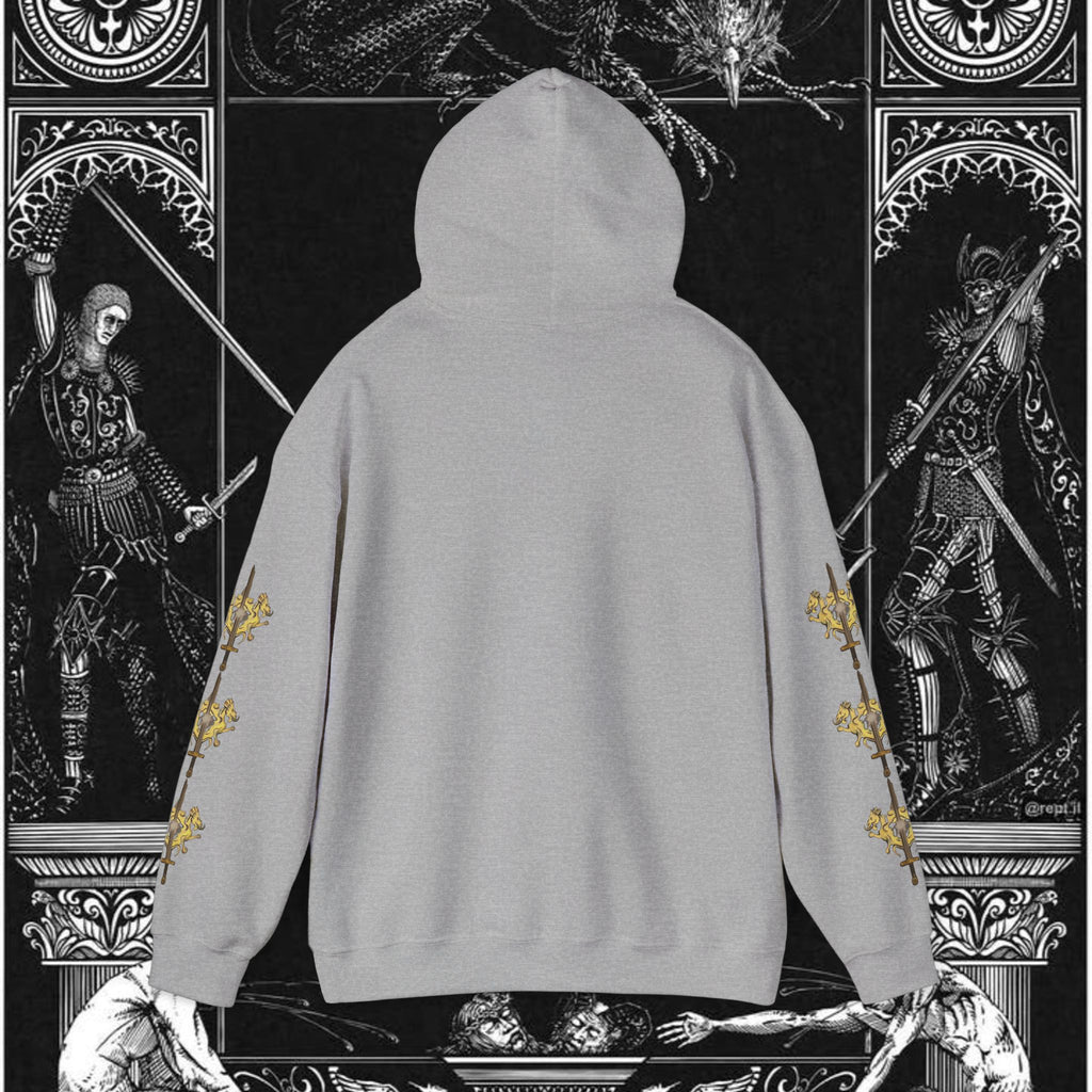 The King's Destiny Medieval Fantasy Graphic Hoodie