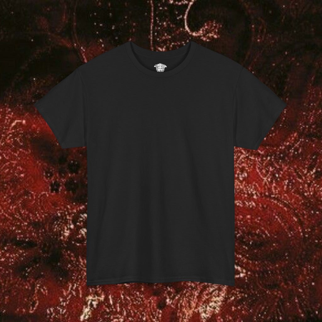 Warrior's Mythos Unisex Tee, Graphic Tee, Mythological Style Shirt Back Version