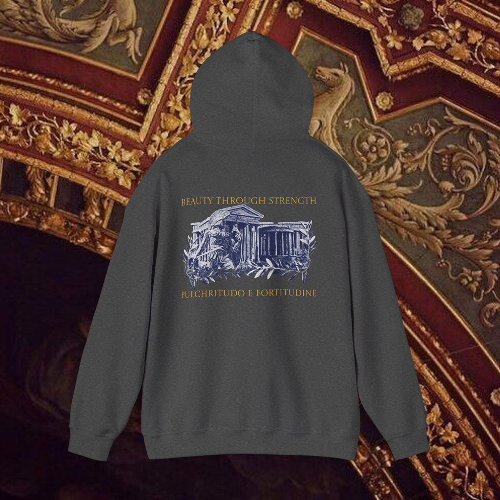 Guardian of the Temple Classically- Inspired Cotton Graphic Hoodie Back Version