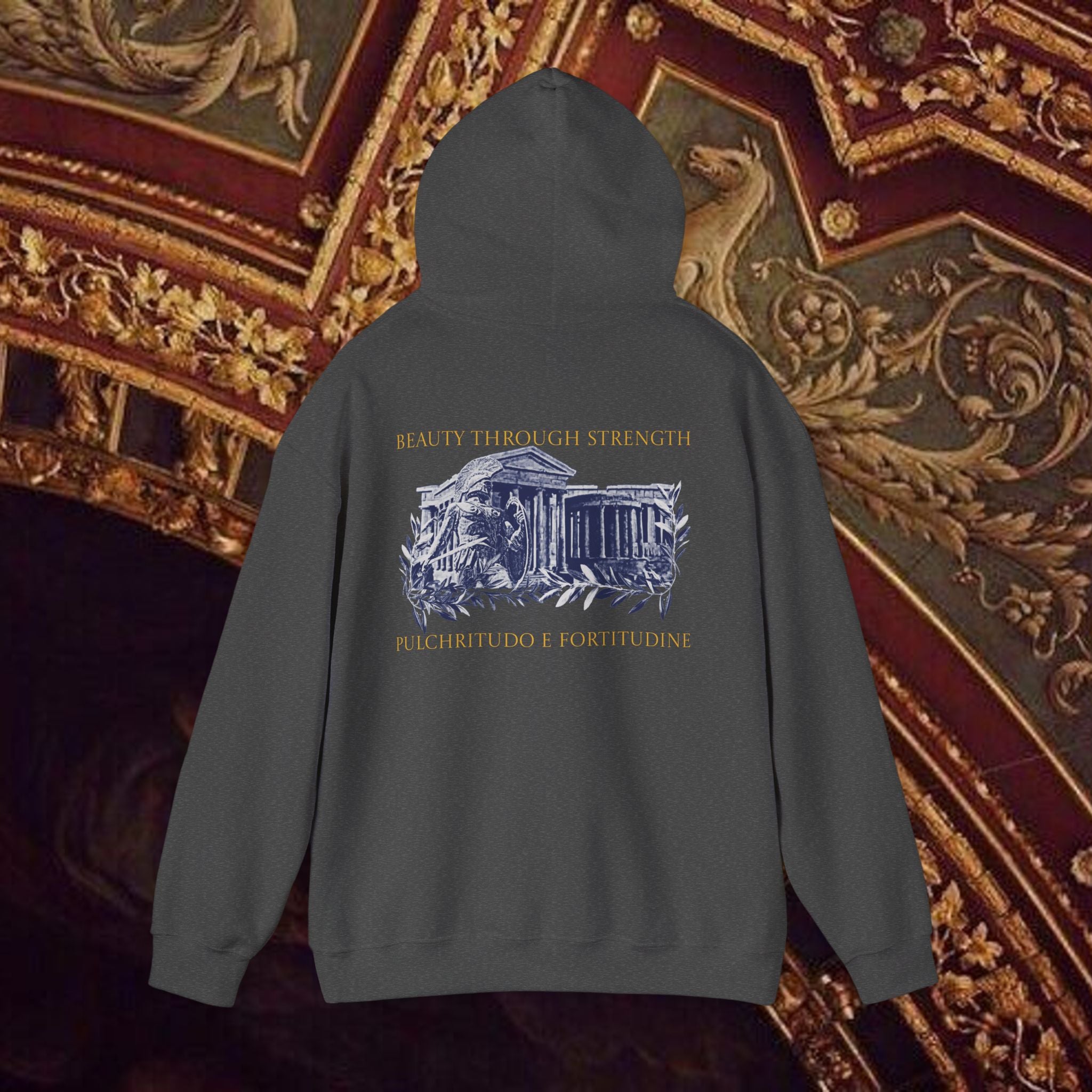 Guardian of the Temple Classically- Inspired Cotton Graphic Hoodie Back Version