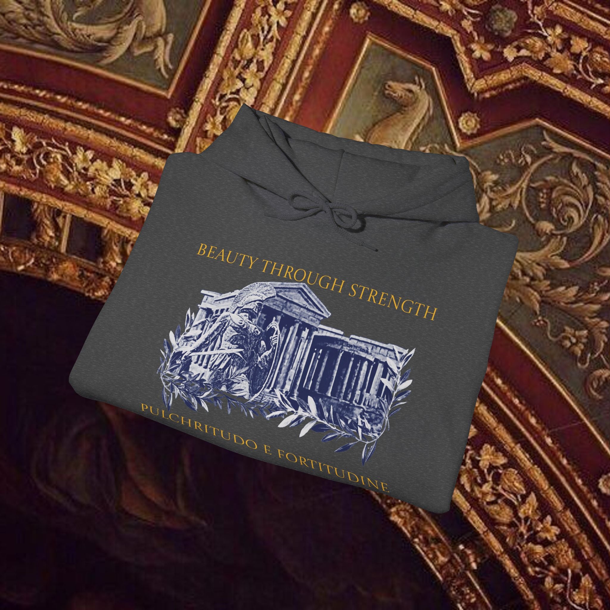 Guardian of the Temple Classically- Inspired Cotton Graphic Hoodie