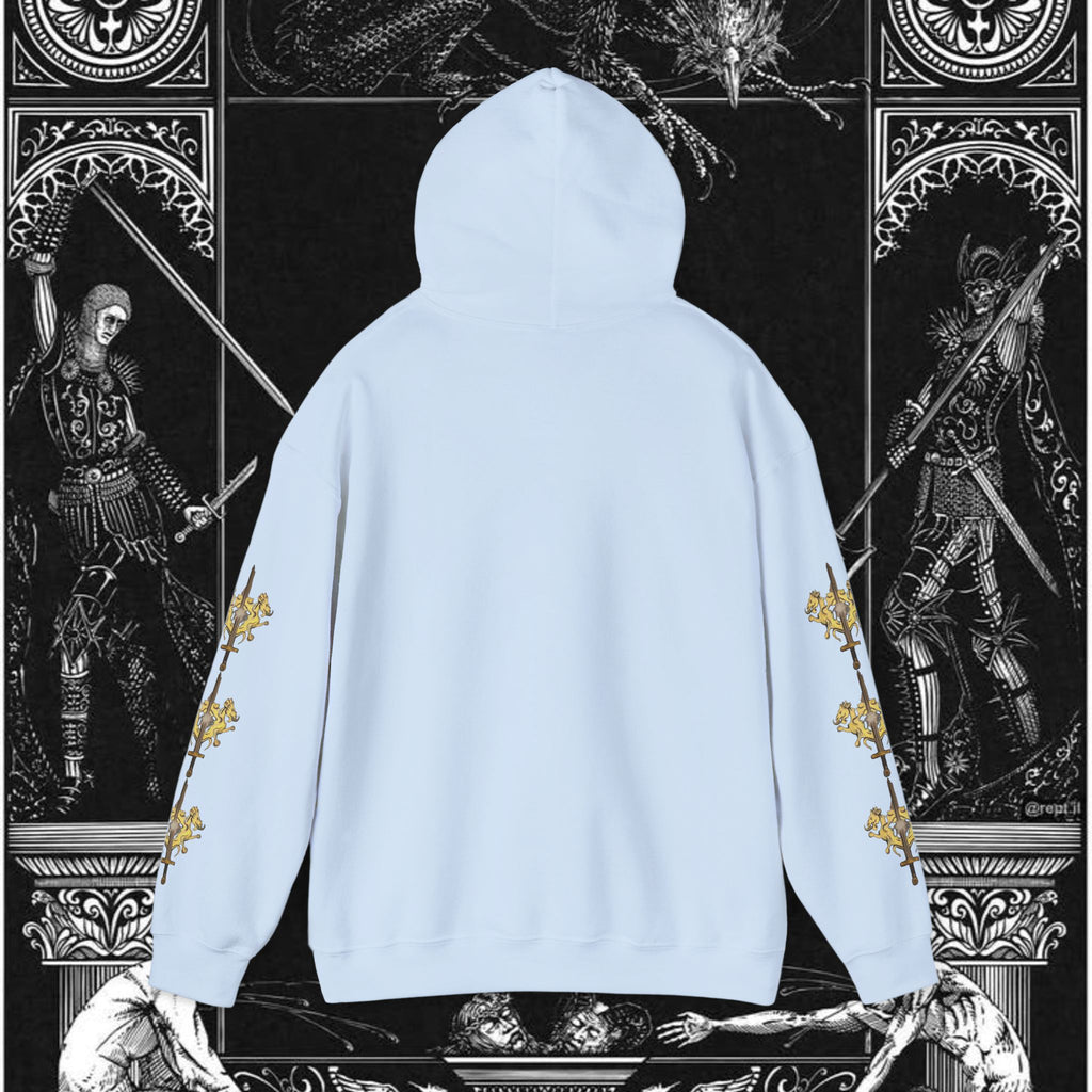 The King's Destiny Medieval Fantasy Graphic Hoodie
