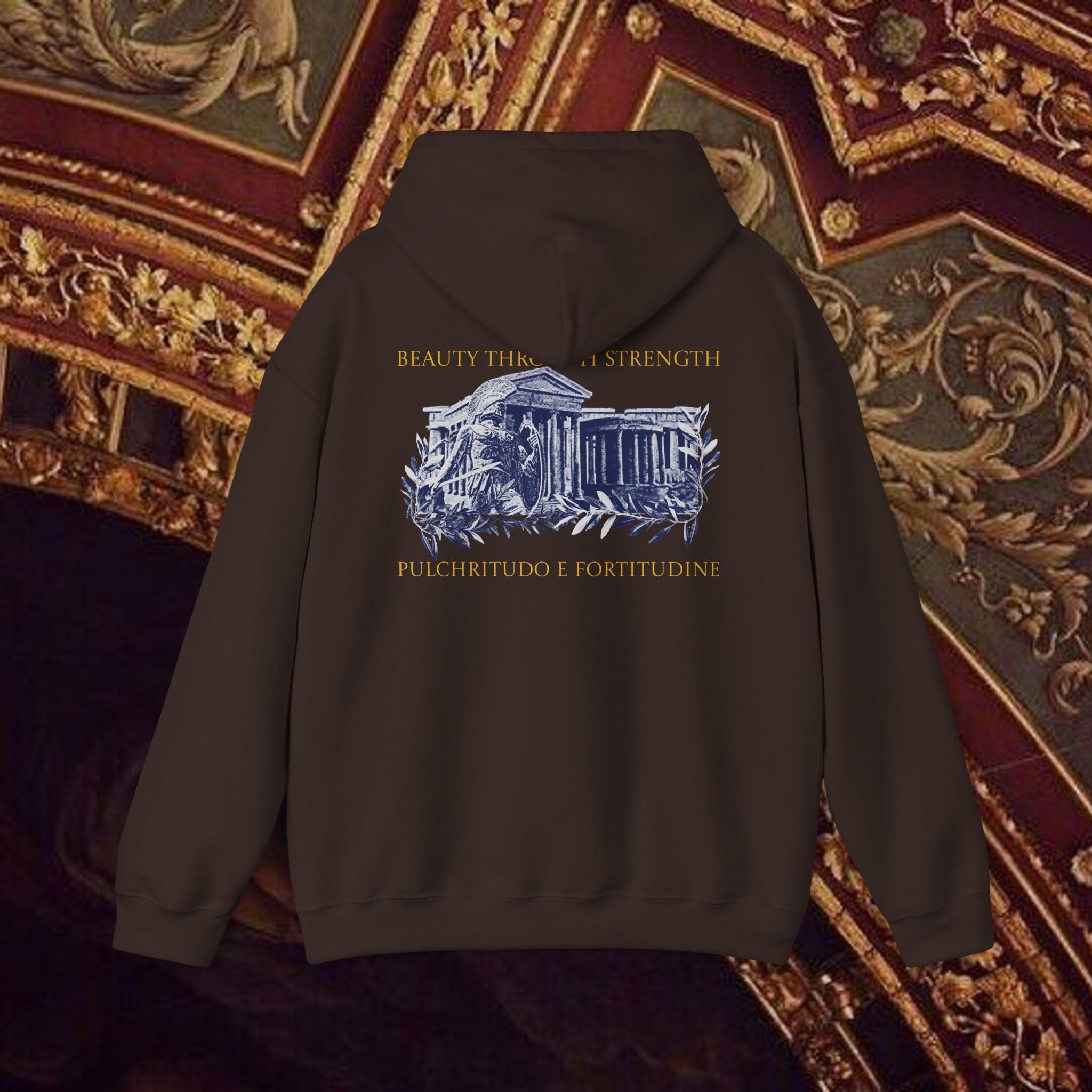Guardian of the Temple Classically- Inspired Cotton Graphic Hoodie Back Version