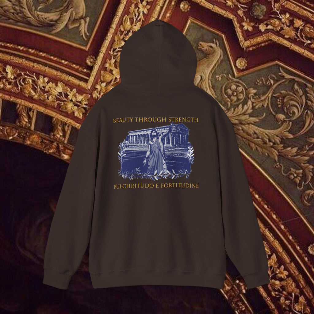 The Hero's Victory Classically-Themed Cotton Graphic Hoodie