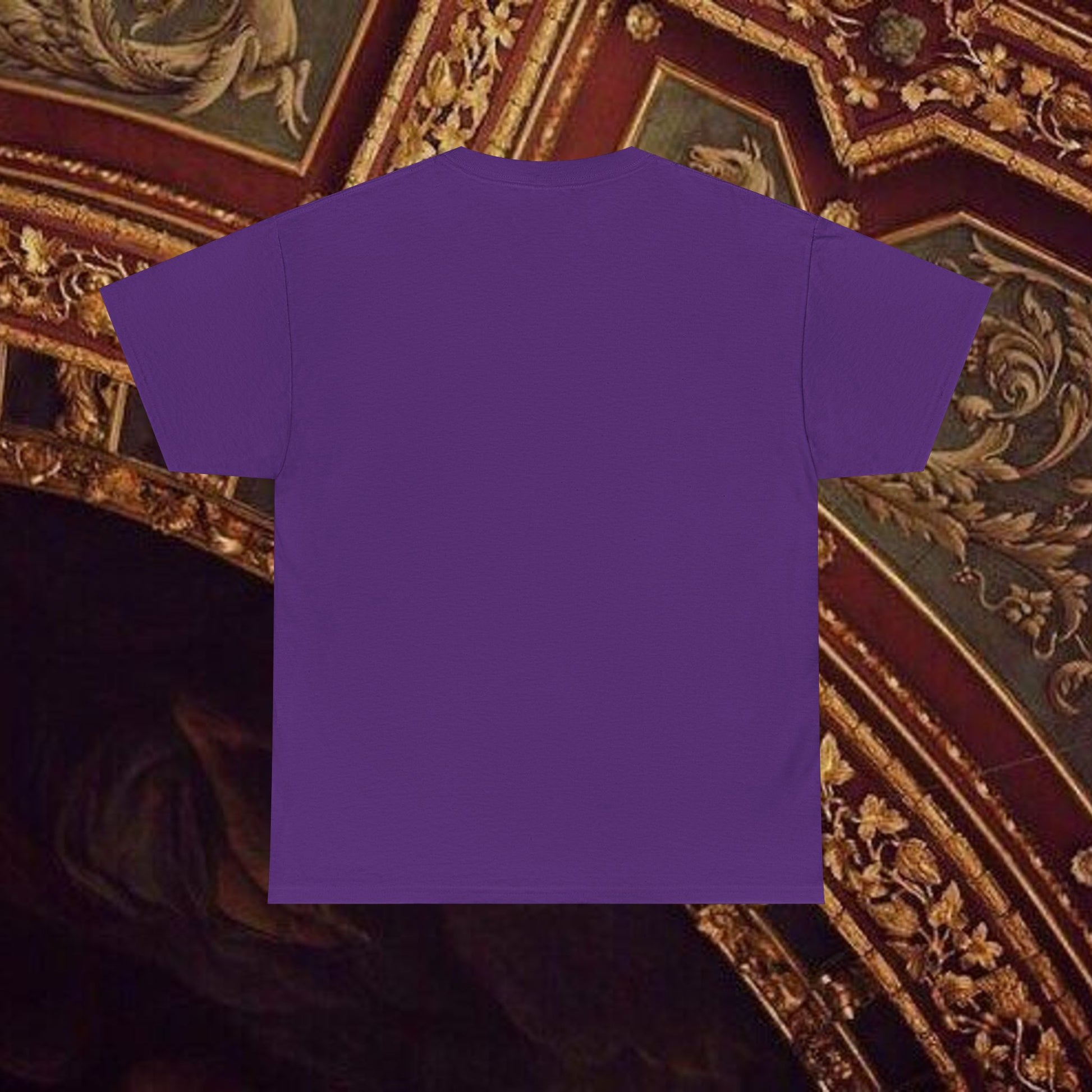 Astrological Vision T-Shirt - Esoteric Mystical Graphic Tee Front Version