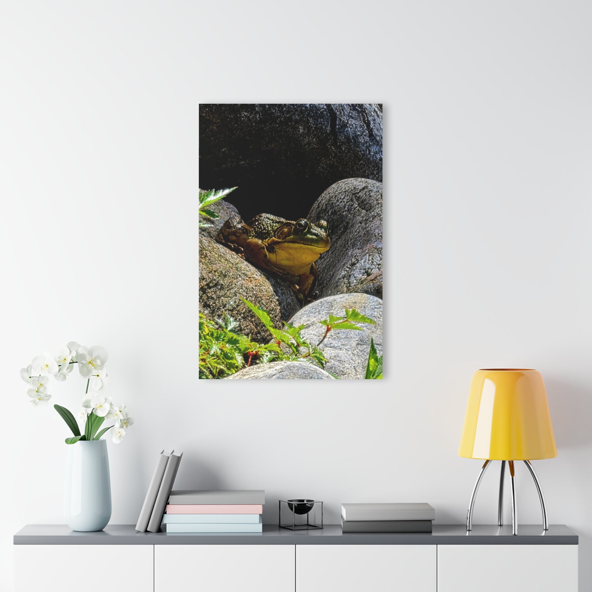 The Pond Frog on Rocks – Acrylic Wall Art