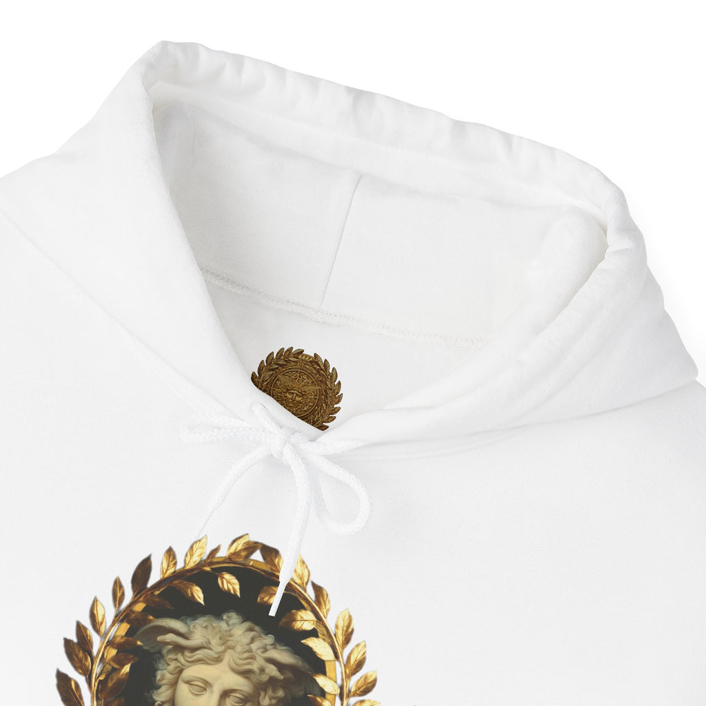 Medusa's Gaze Classical Mythology Inspired Unisex Heavy Blend Hooded Graphic Sweatshirt
