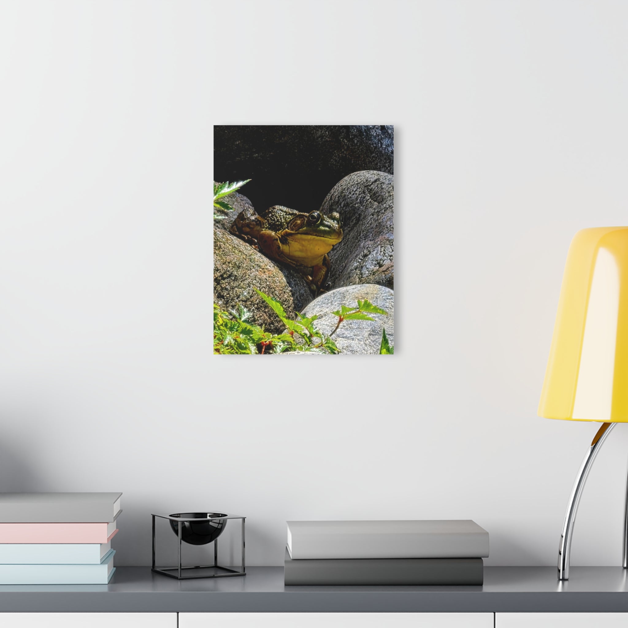 The Pond Frog on Rocks – Acrylic Wall Art