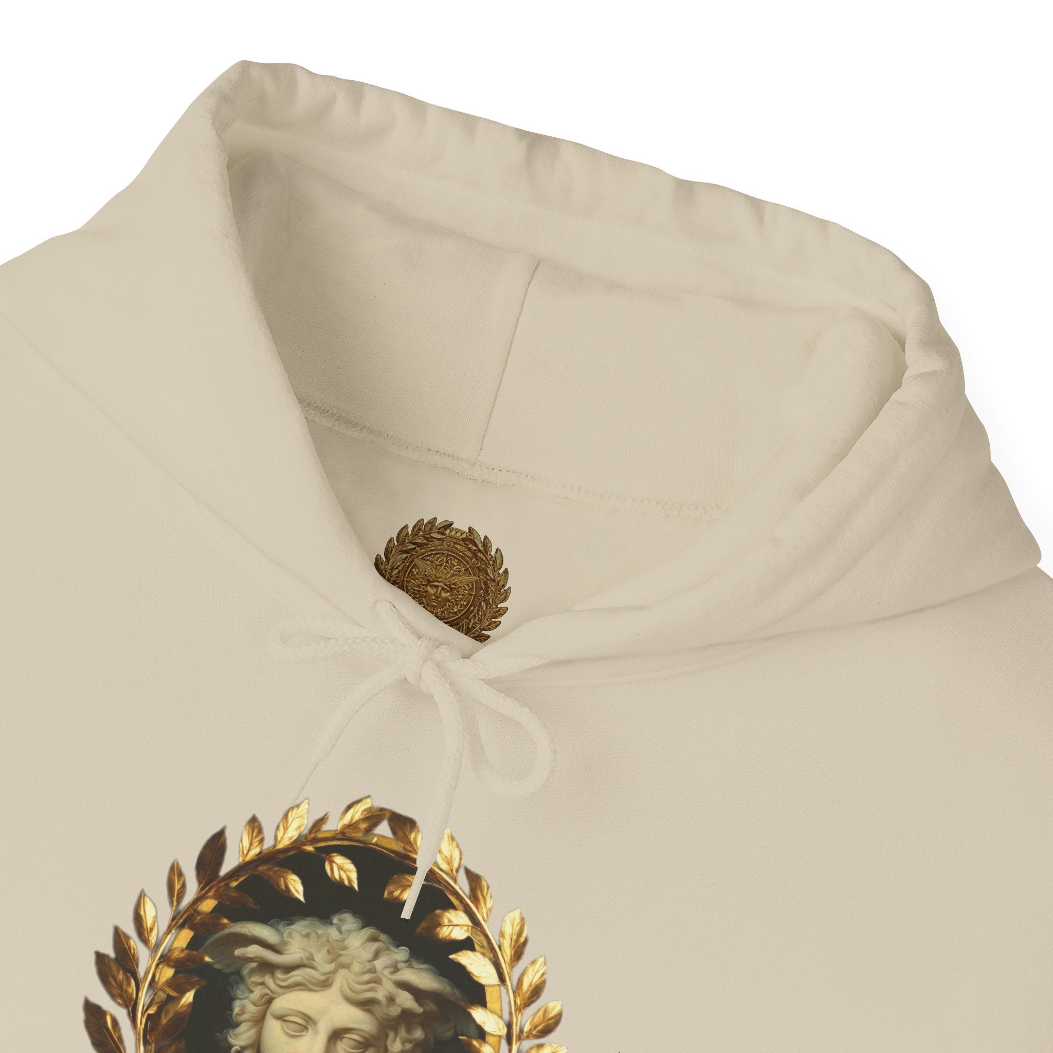 Medusa's Gaze Classical Mythology Inspired Unisex Heavy Blend Hooded Graphic Sweatshirt