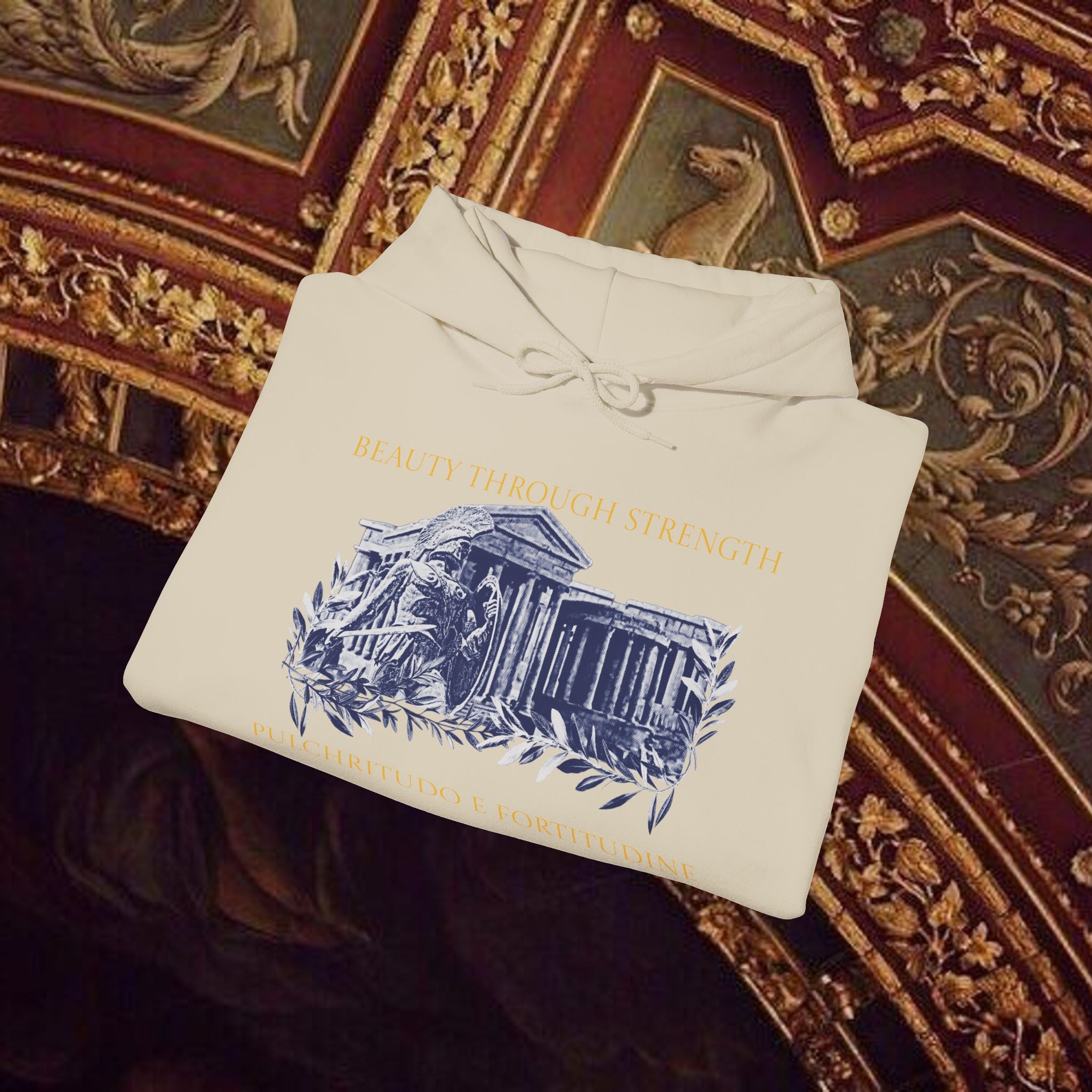 Guardian of the Temple Classically- Inspired Cotton Graphic Hoodie