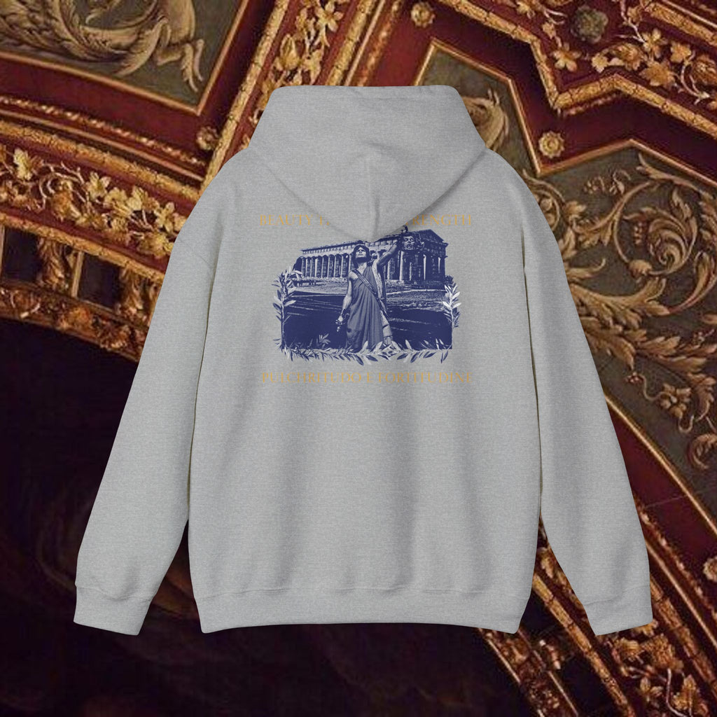 The Hero's Victory Classically-Themed Cotton Graphic Hoodie