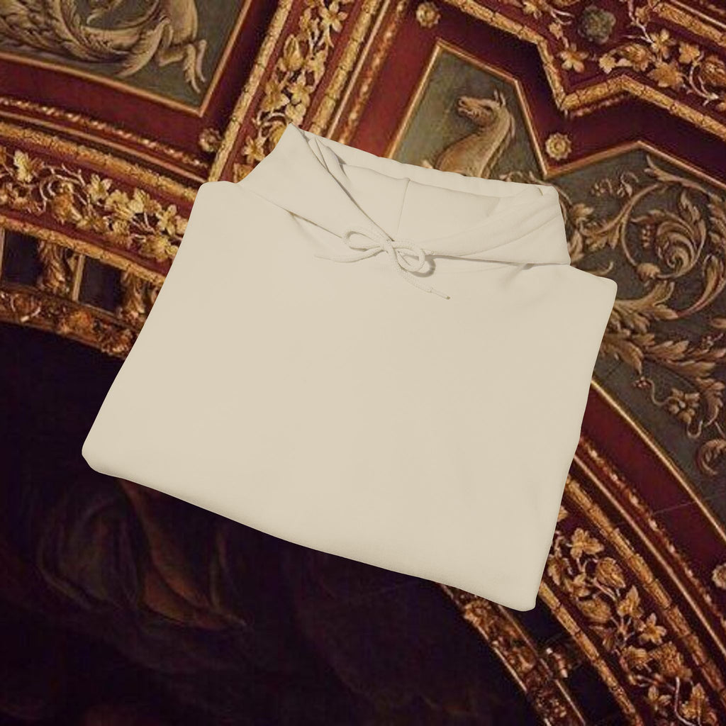 Astrological Vision Hoodie - Esoteric Mystical Graphic Hoodie - Back Version