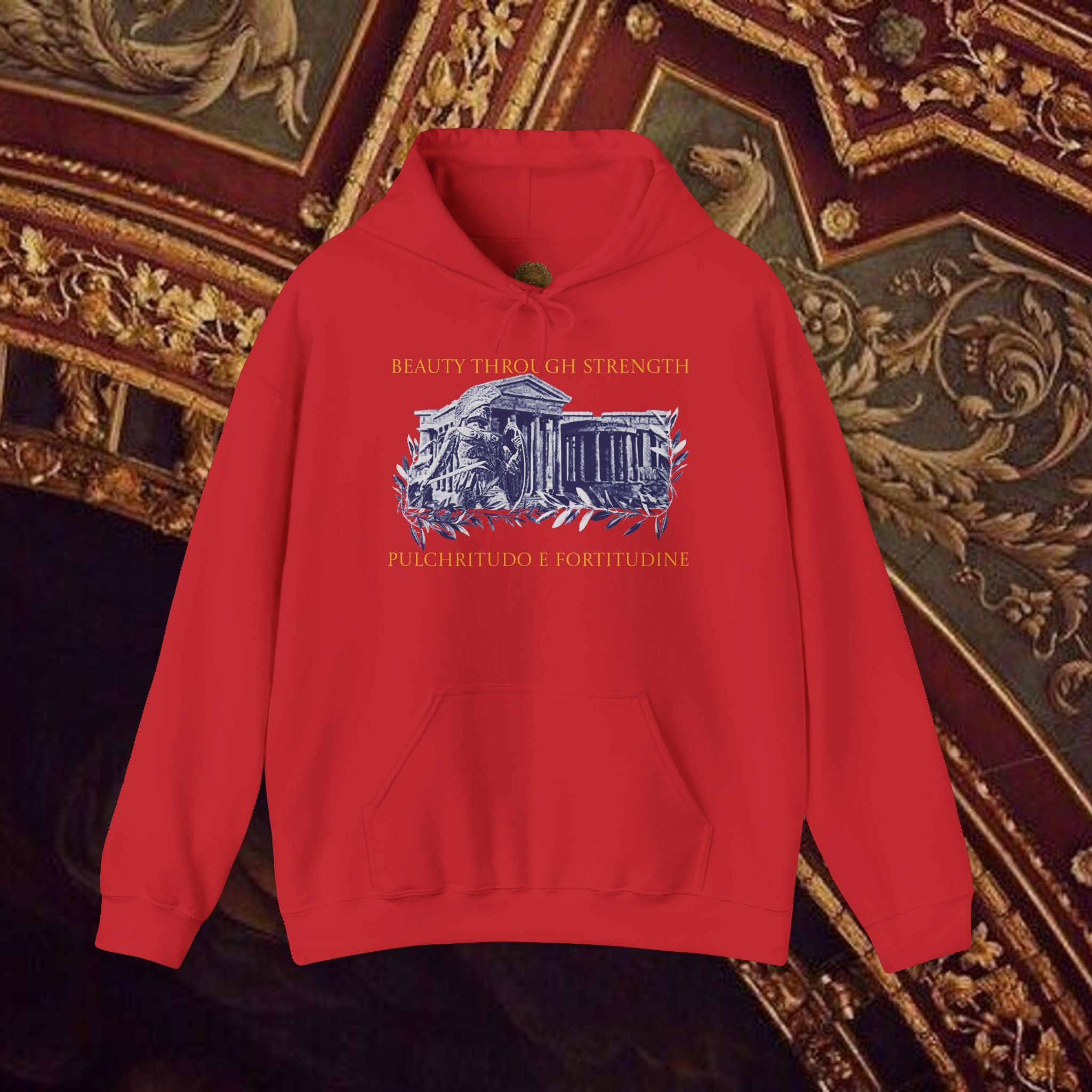 Guardian of the Temple Classically- Inspired Cotton Graphic Hoodie