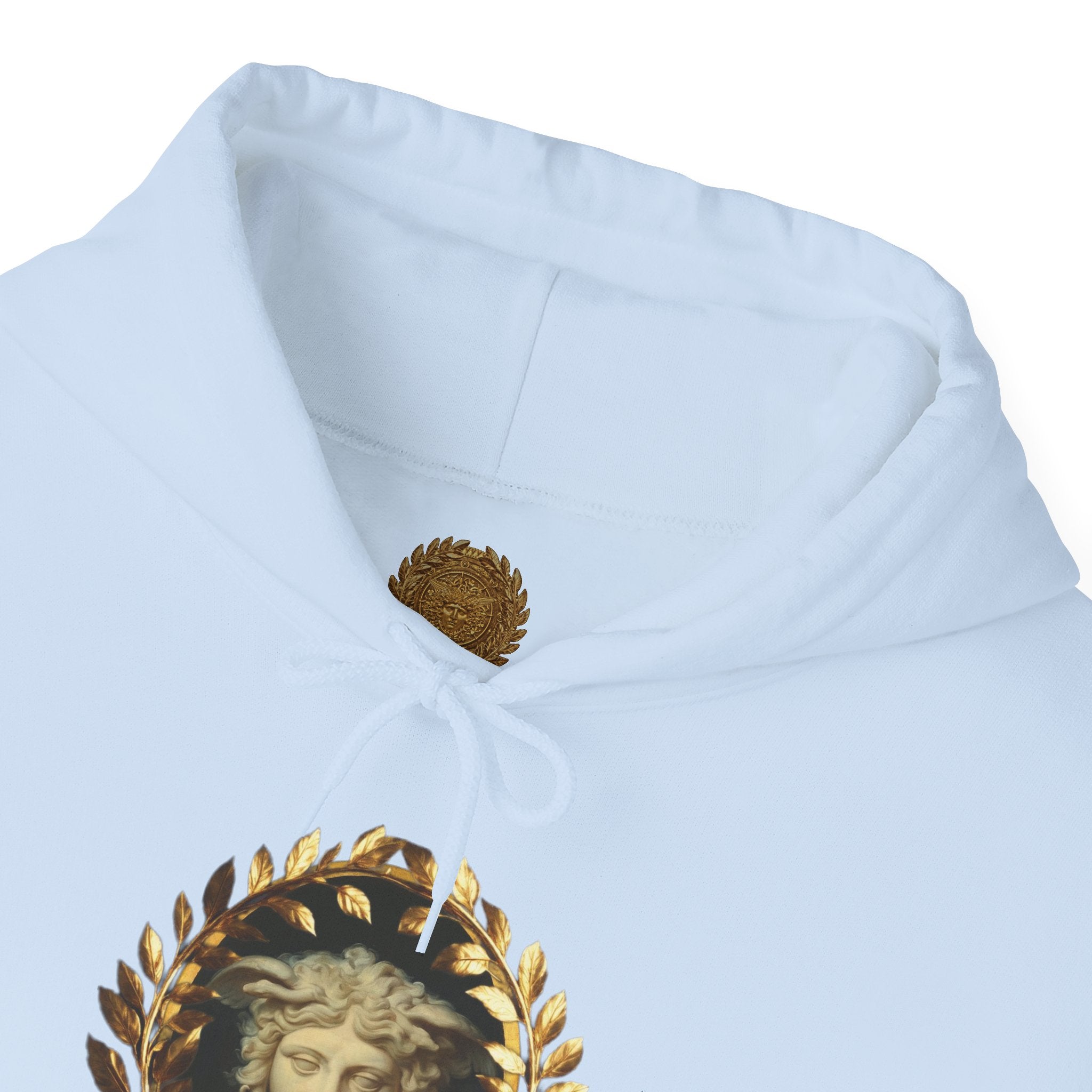 Medusa's Gaze Classical Mythology Inspired Unisex Heavy Blend Hooded Graphic Sweatshirt