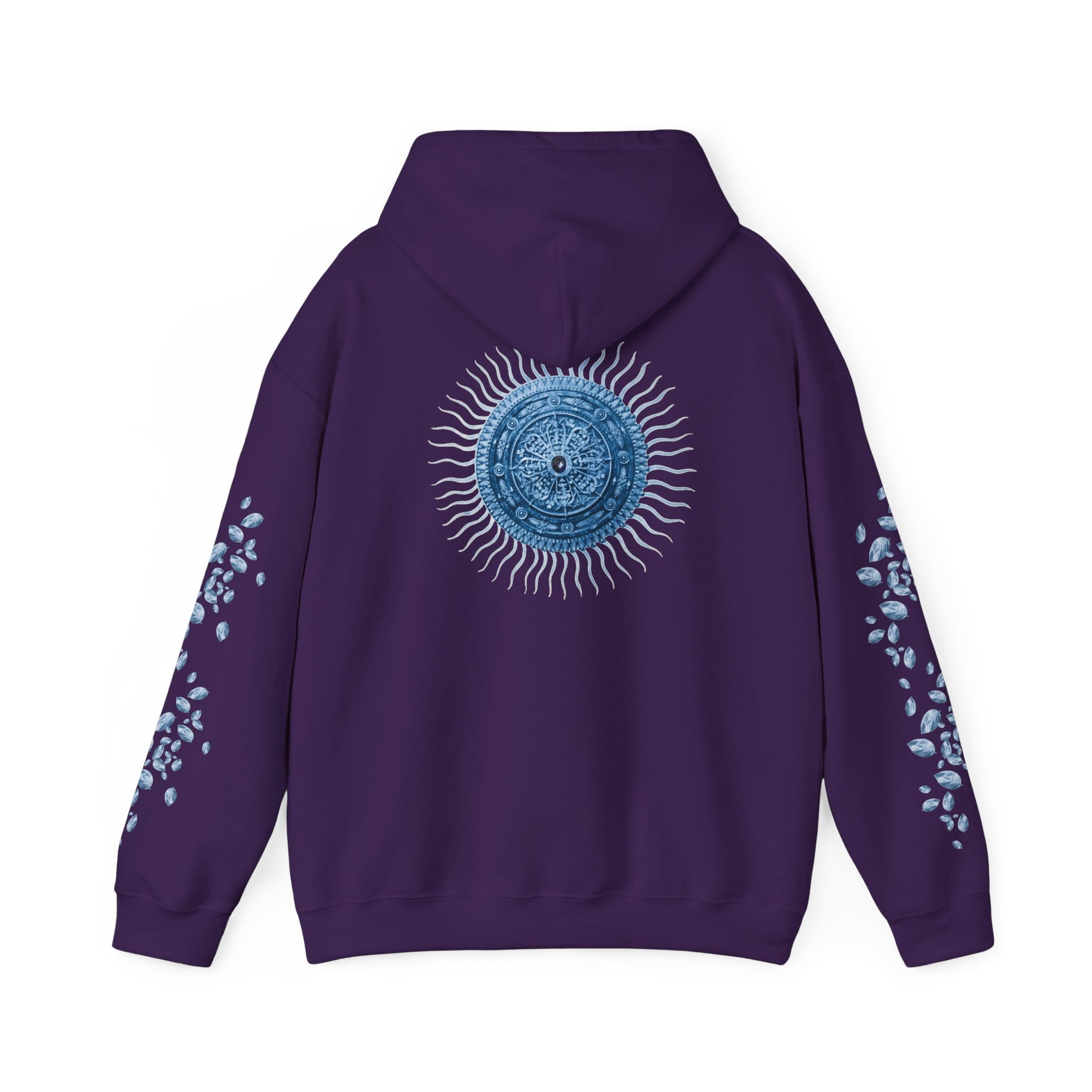 Artic Sun Graphic Hoodie