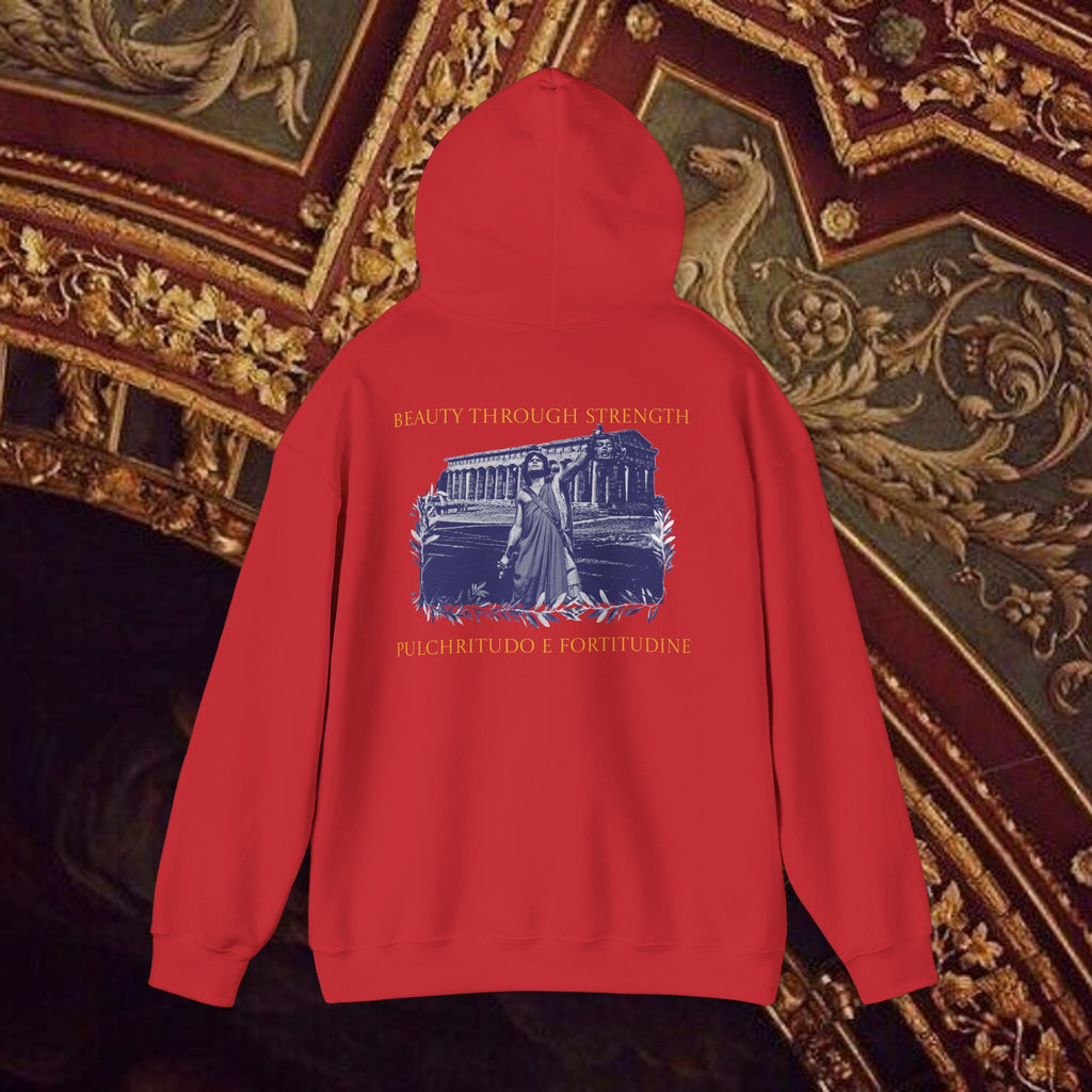 The Hero's Victory Classically-Themed Cotton Graphic Hoodie