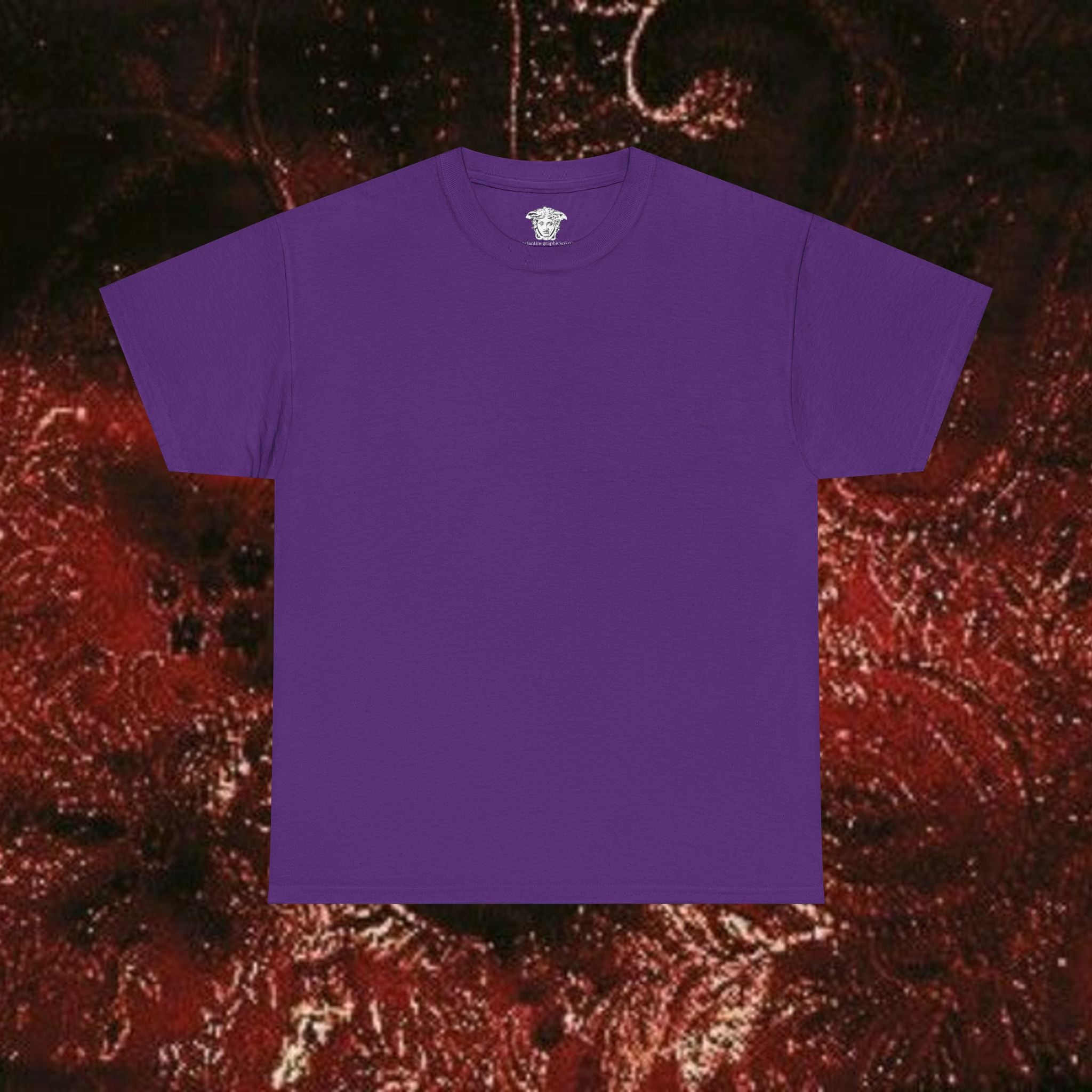 Warrior's Mythos Unisex Tee, Graphic Tee, Mythological Style Shirt Back Version