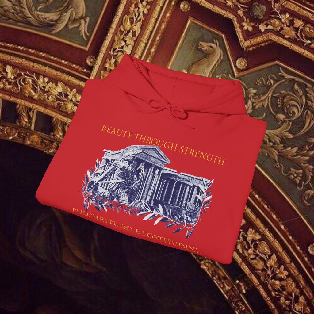 Guardian of the Temple Classically- Inspired Cotton Graphic Hoodie