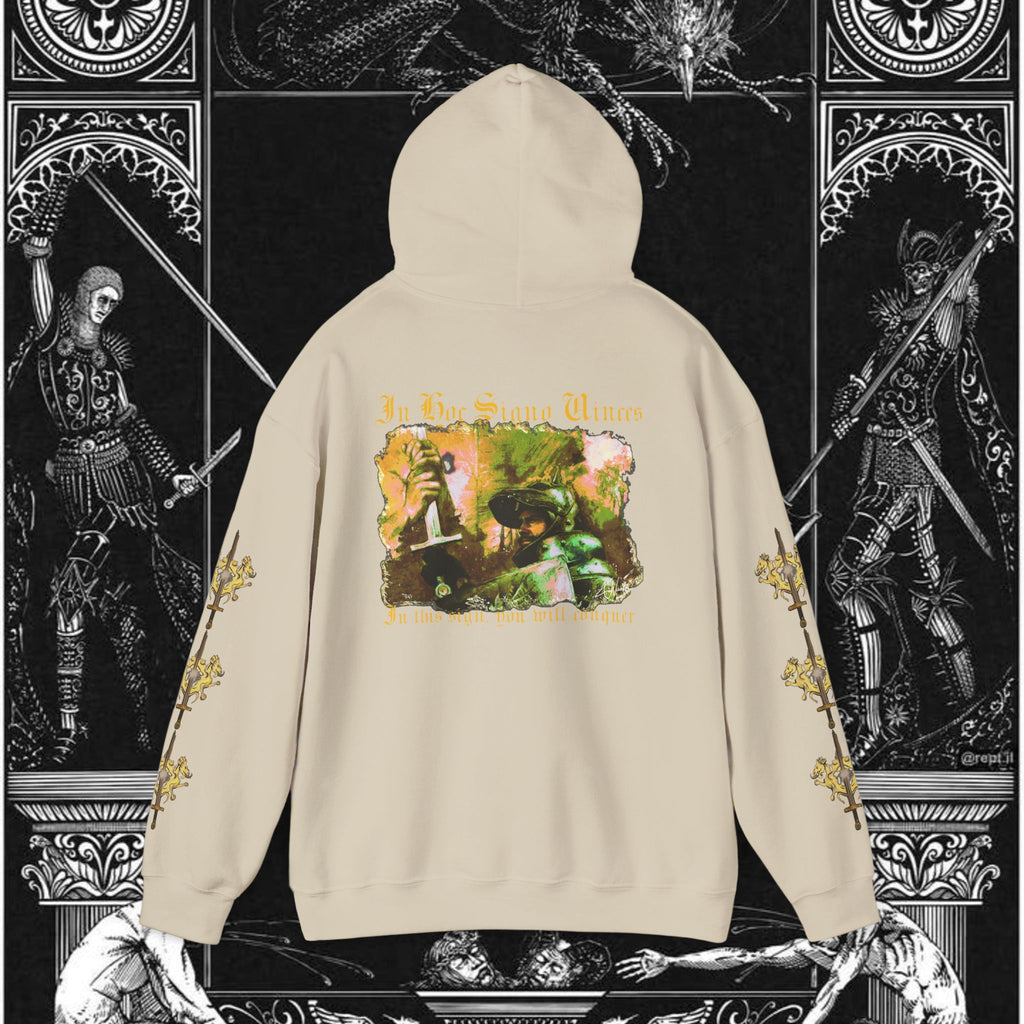 The King's Destiny Medieval Fantasy Graphic Hoodie