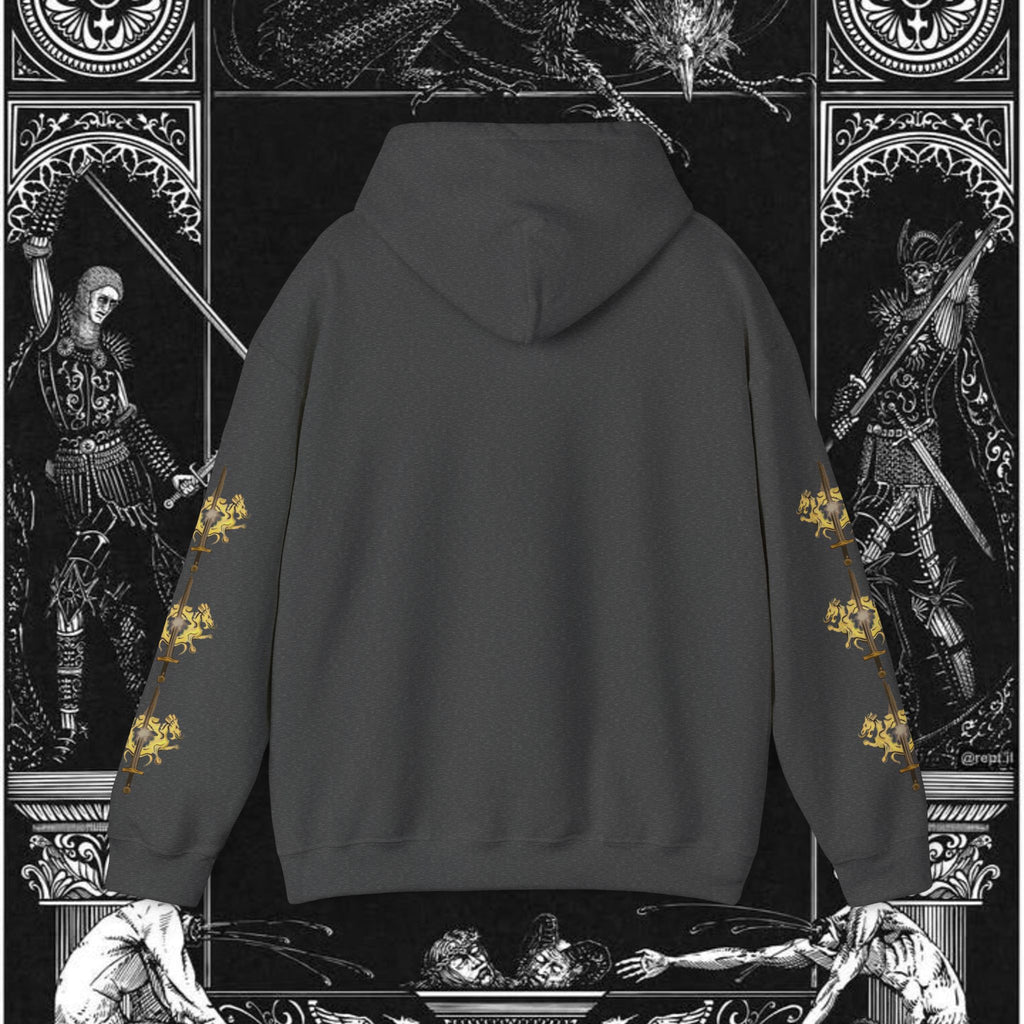 The King's Destiny Medieval Fantasy Graphic Hoodie
