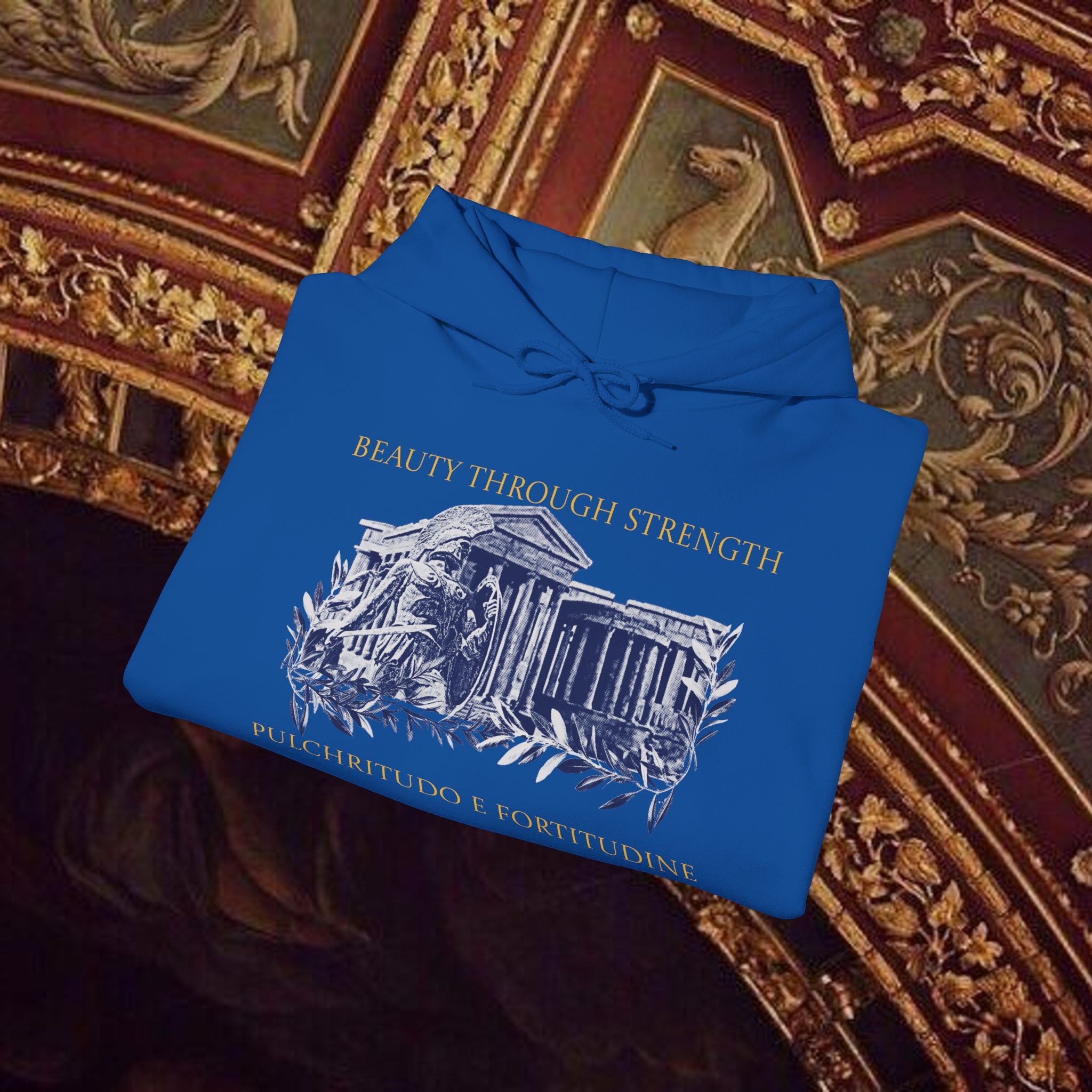 Guardian of the Temple Classically- Inspired Cotton Graphic Hoodie