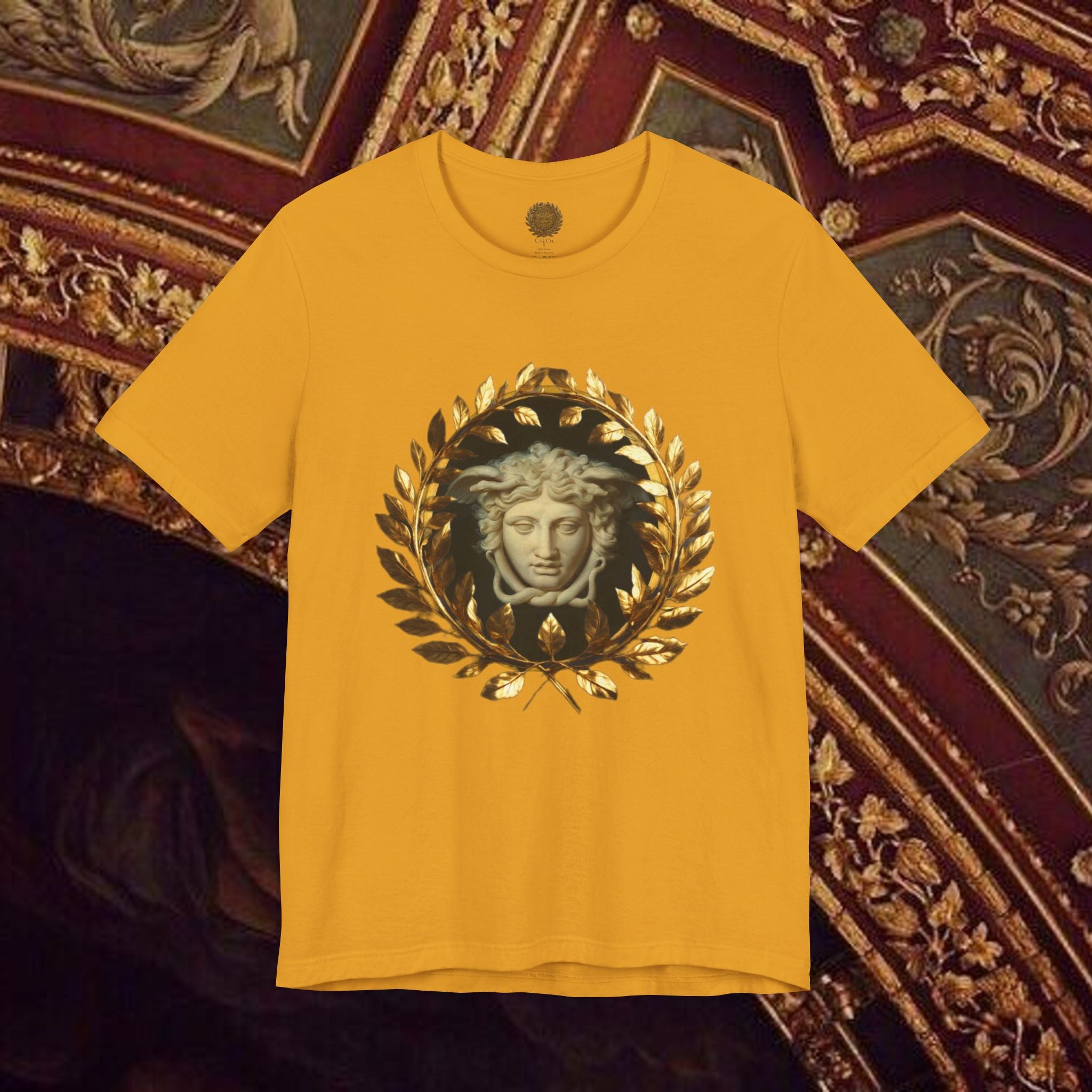 Medusa's Gaze Classical Inspired Mythology Unisex Jersey Short Sleeve Graphic Tee