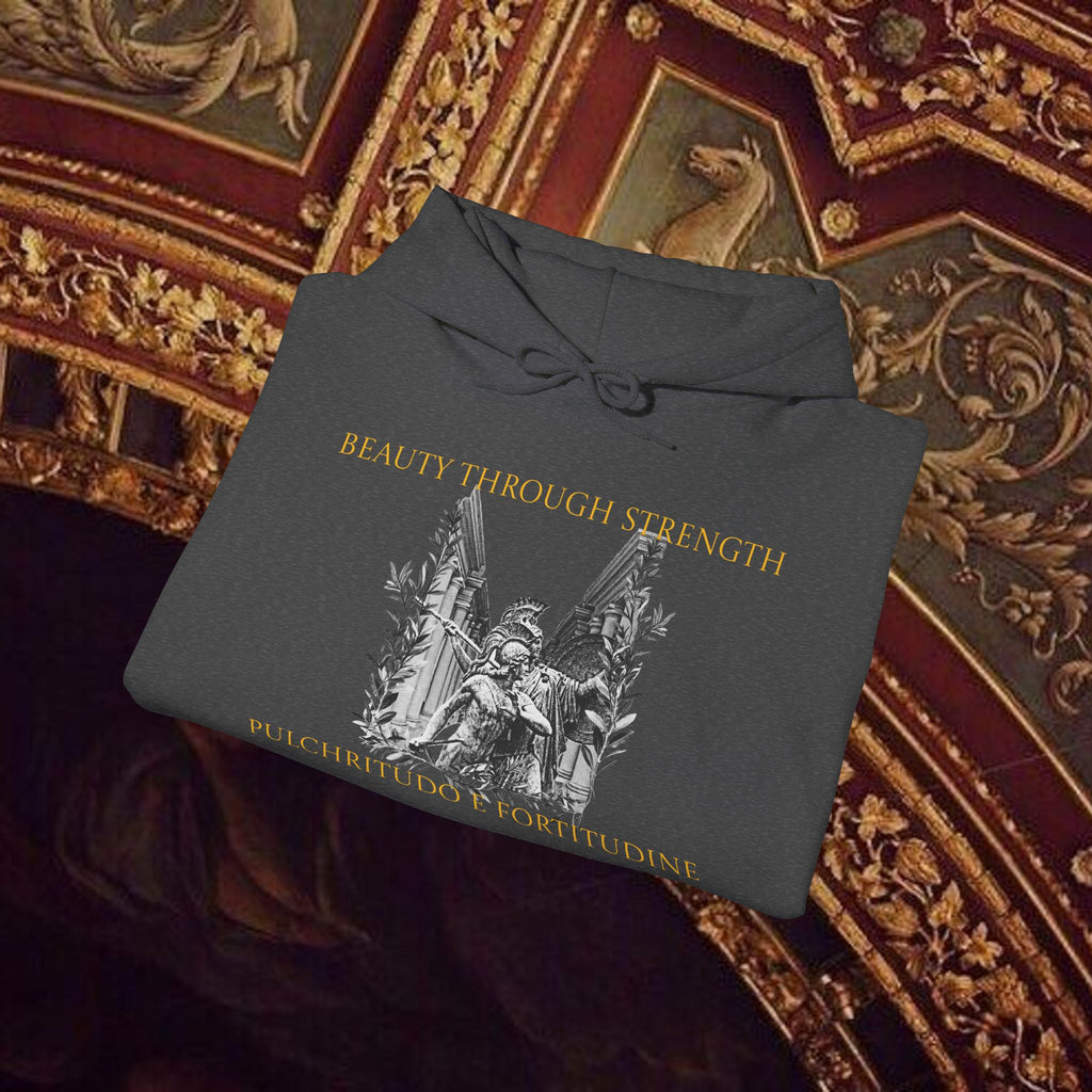 The Goddess's Protection Classically-Inspired Cotton Graphic Hoodie