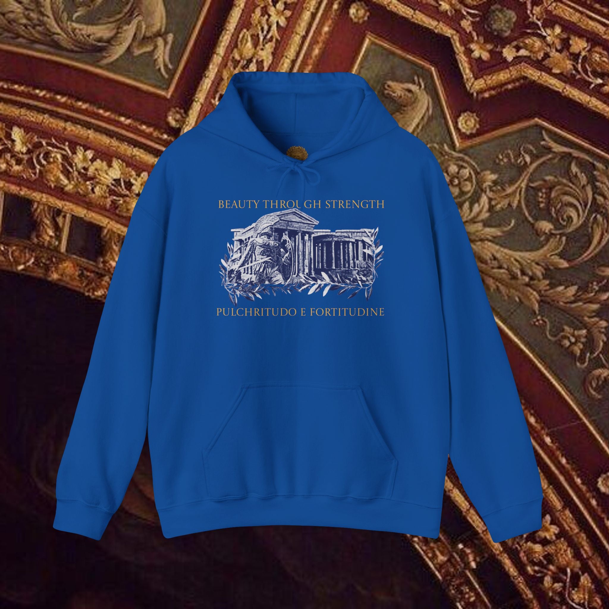 Guardian of the Temple Classically- Inspired Cotton Graphic Hoodie