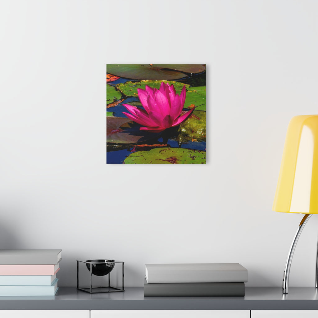 Pink Lily Pad Flower – Acrylic Wall Art
