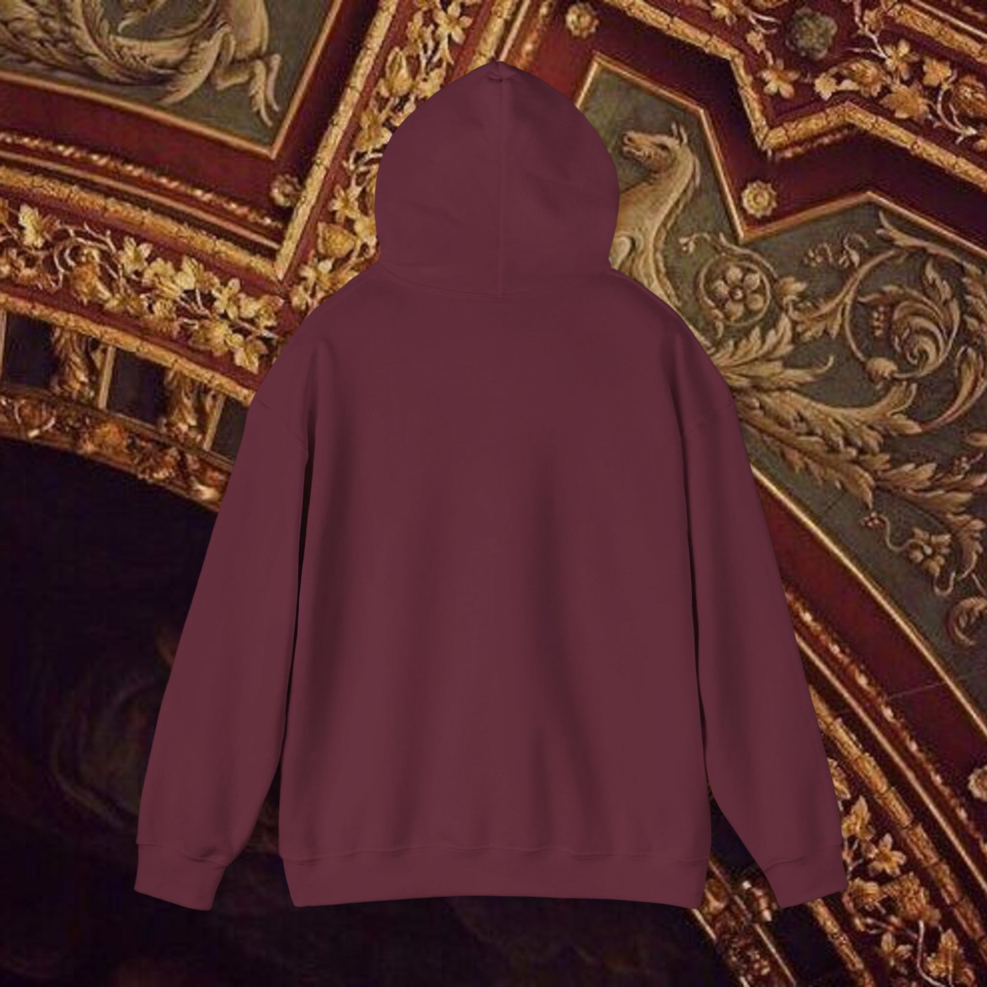 Astrological Vision Hoodie - Esoteric Mystical Graphic Hoodie -Front Version