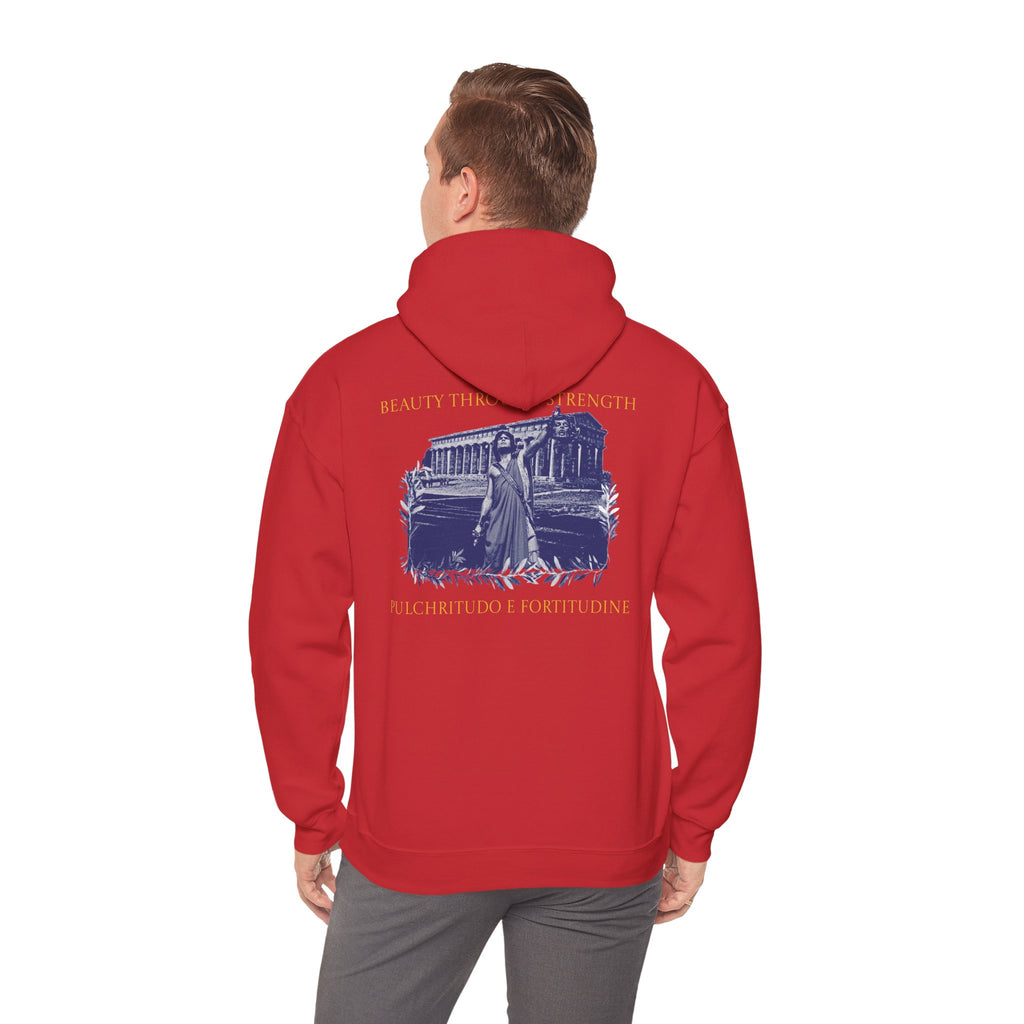 The Hero's Victory Classically-Themed Cotton Graphic Hoodie