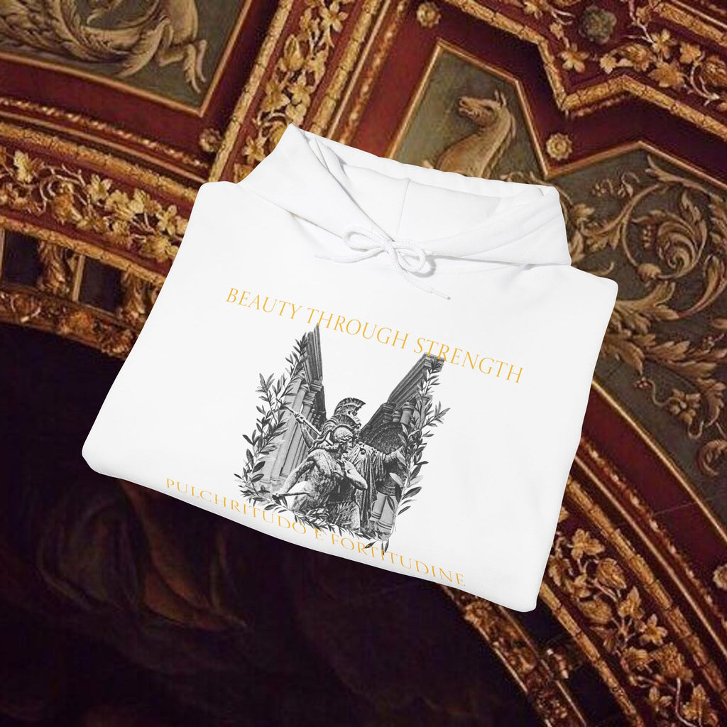 The Goddess's Protection Classically-Inspired Cotton Graphic Hoodie