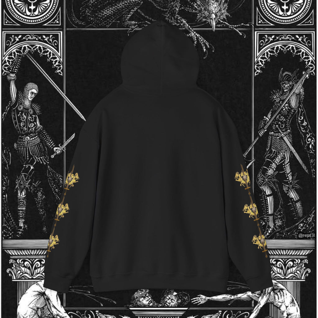 The King's Destiny Medieval Fantasy Graphic Hoodie
