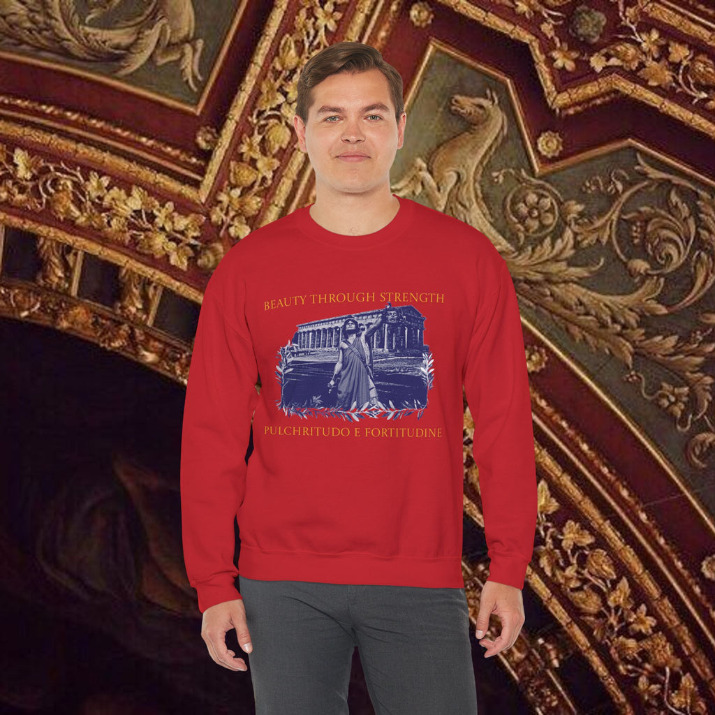 The Hero's Victory Classically-Themed Cotton Graphic T Sweatshirt