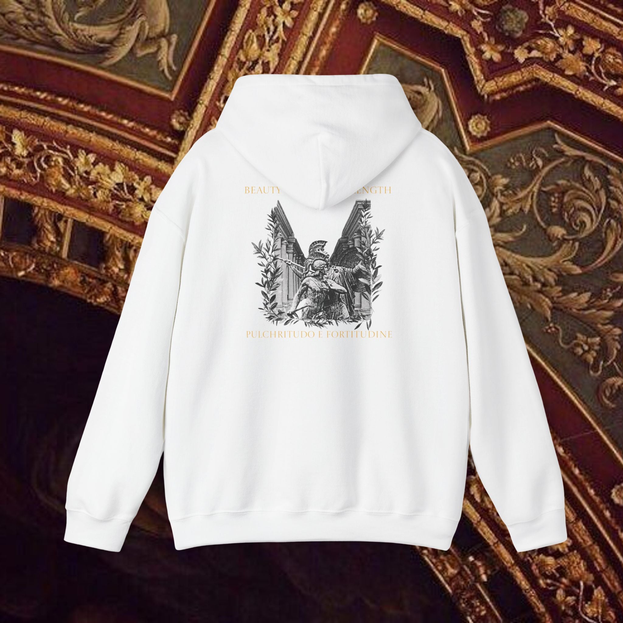 The Goddess's Protection Classically-Inspired Cotton Graphic Hoodie Back Version