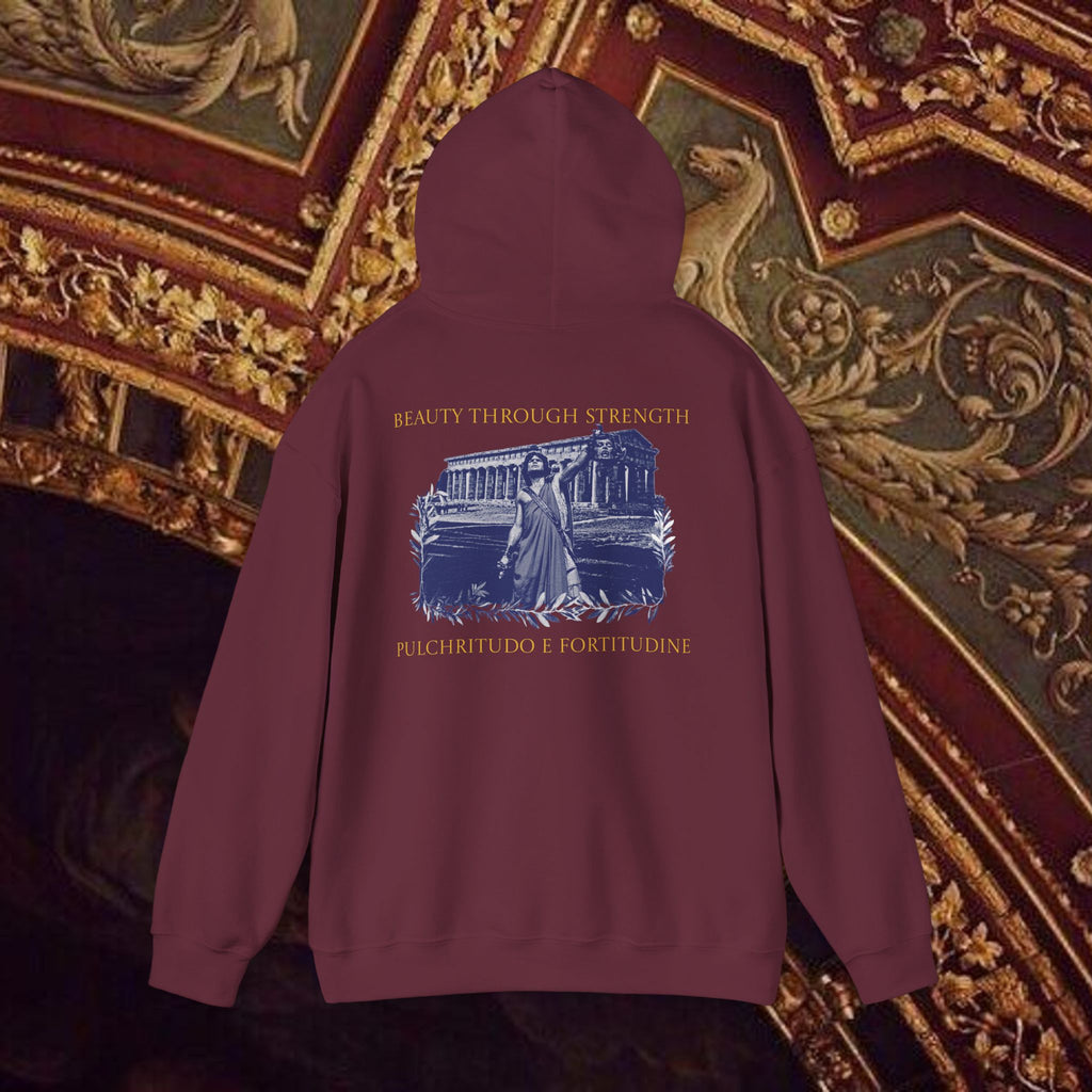 The Hero's Victory Classically-Themed Cotton Graphic Hoodie