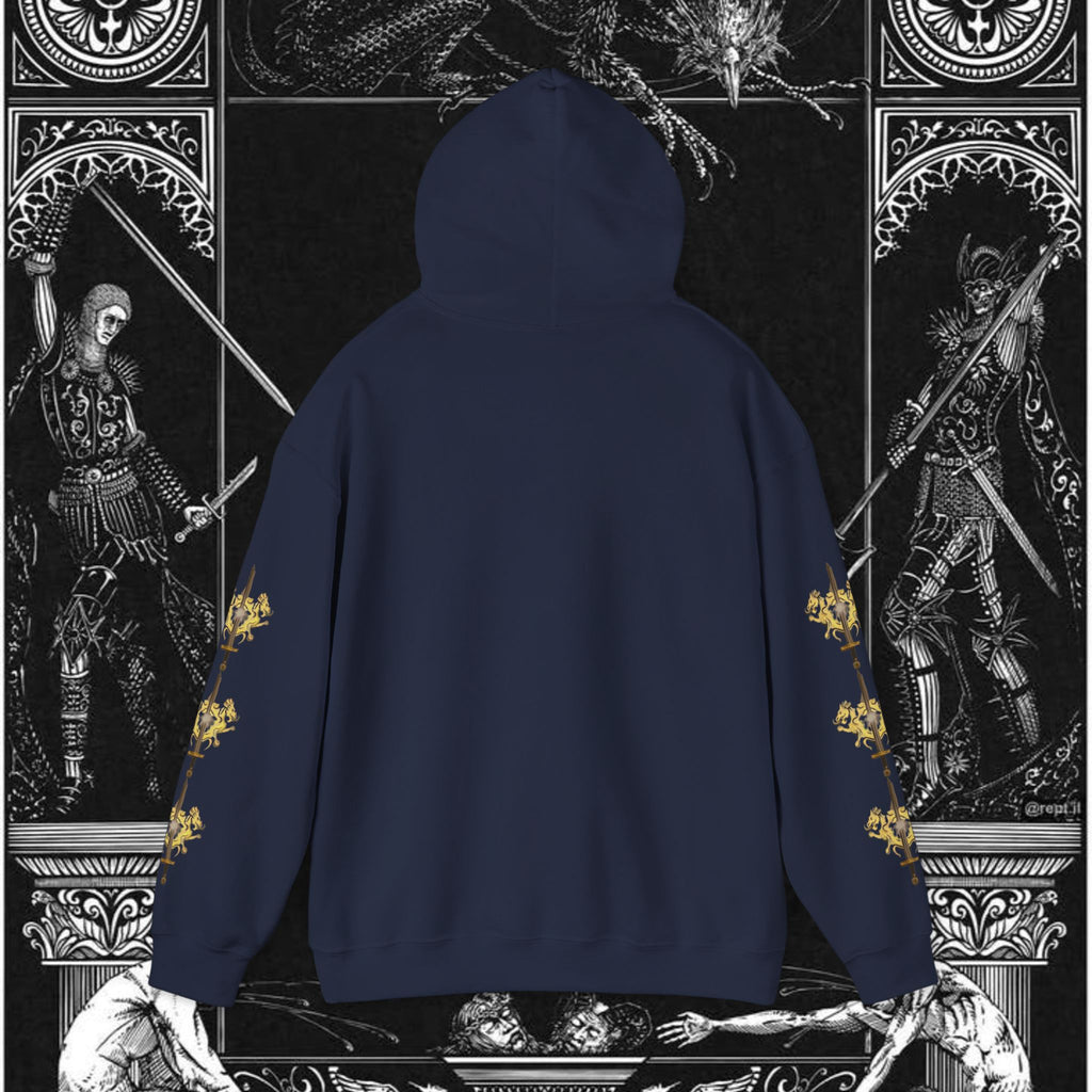 The King's Destiny Medieval Fantasy Graphic Hoodie