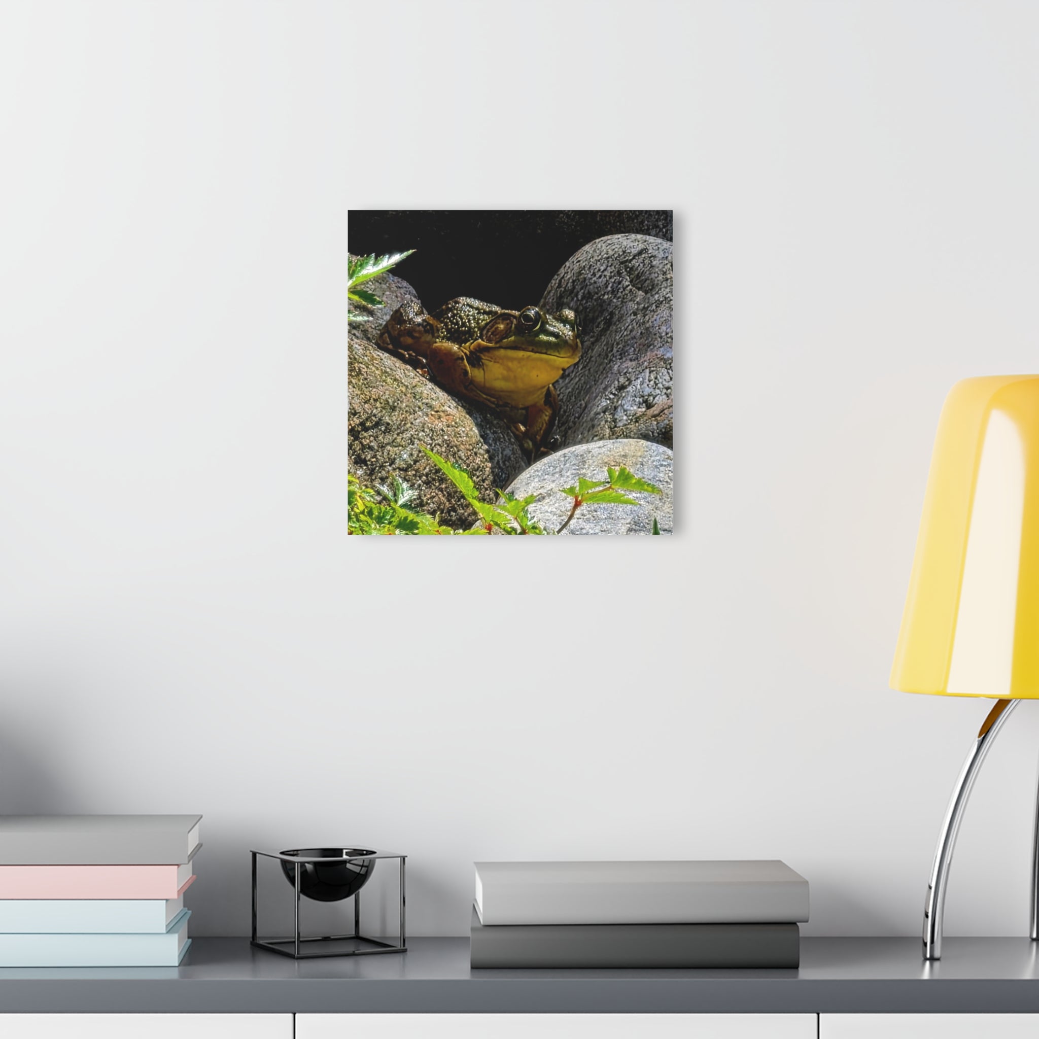 The Pond Frog on Rocks – Acrylic Wall Art