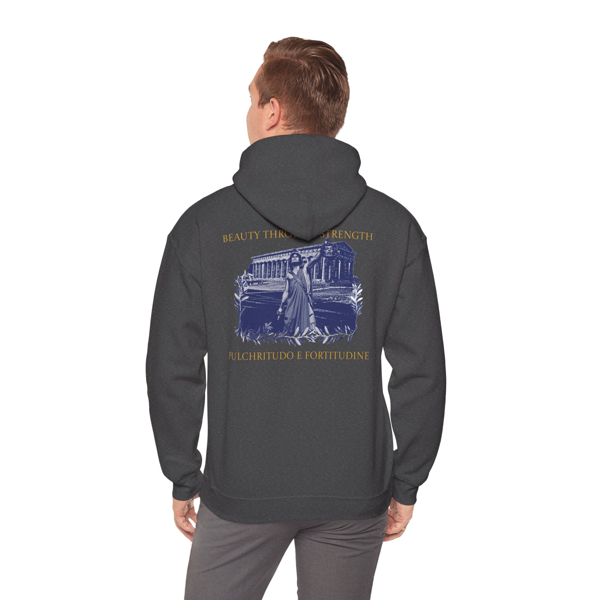 The Hero's Victory Classically-Themed Cotton Graphic Hoodie