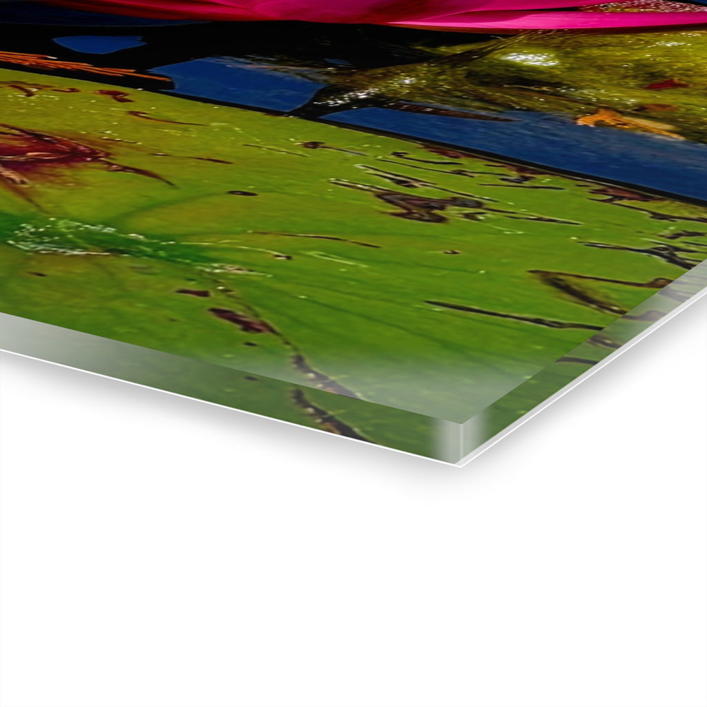 Pink Lily Pad Flower – Acrylic Wall Art