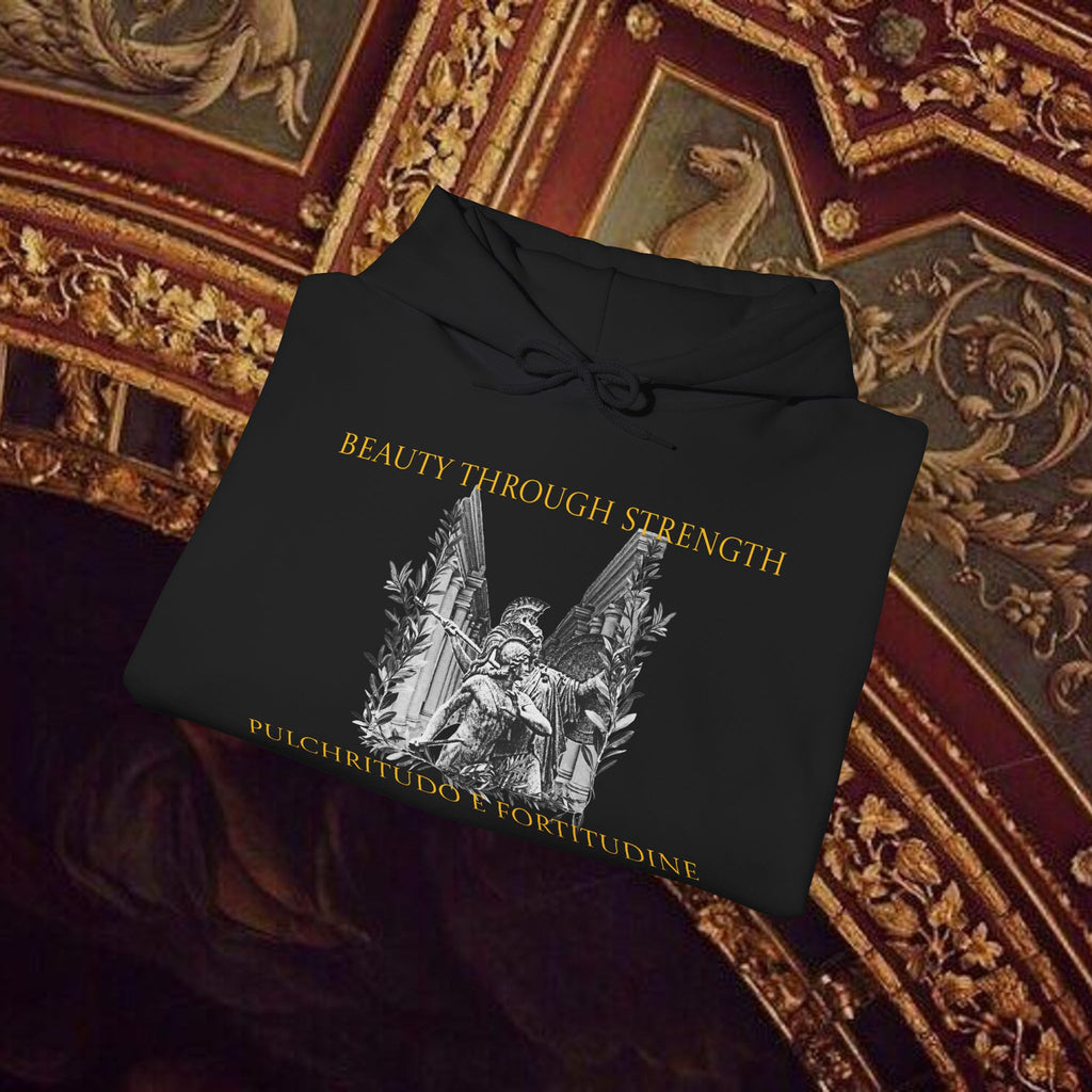 The Goddess's Protection Classically-Inspired Cotton Graphic Hoodie