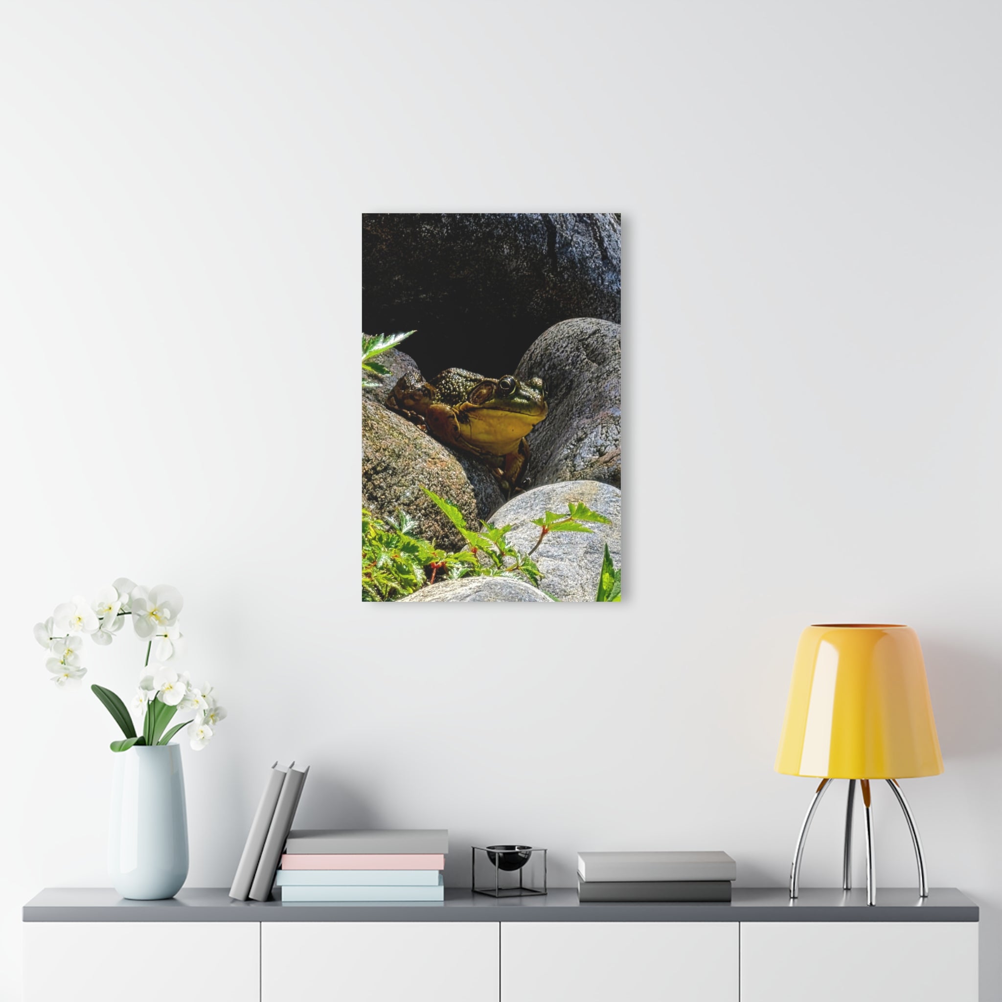 The Pond Frog on Rocks – Acrylic Wall Art