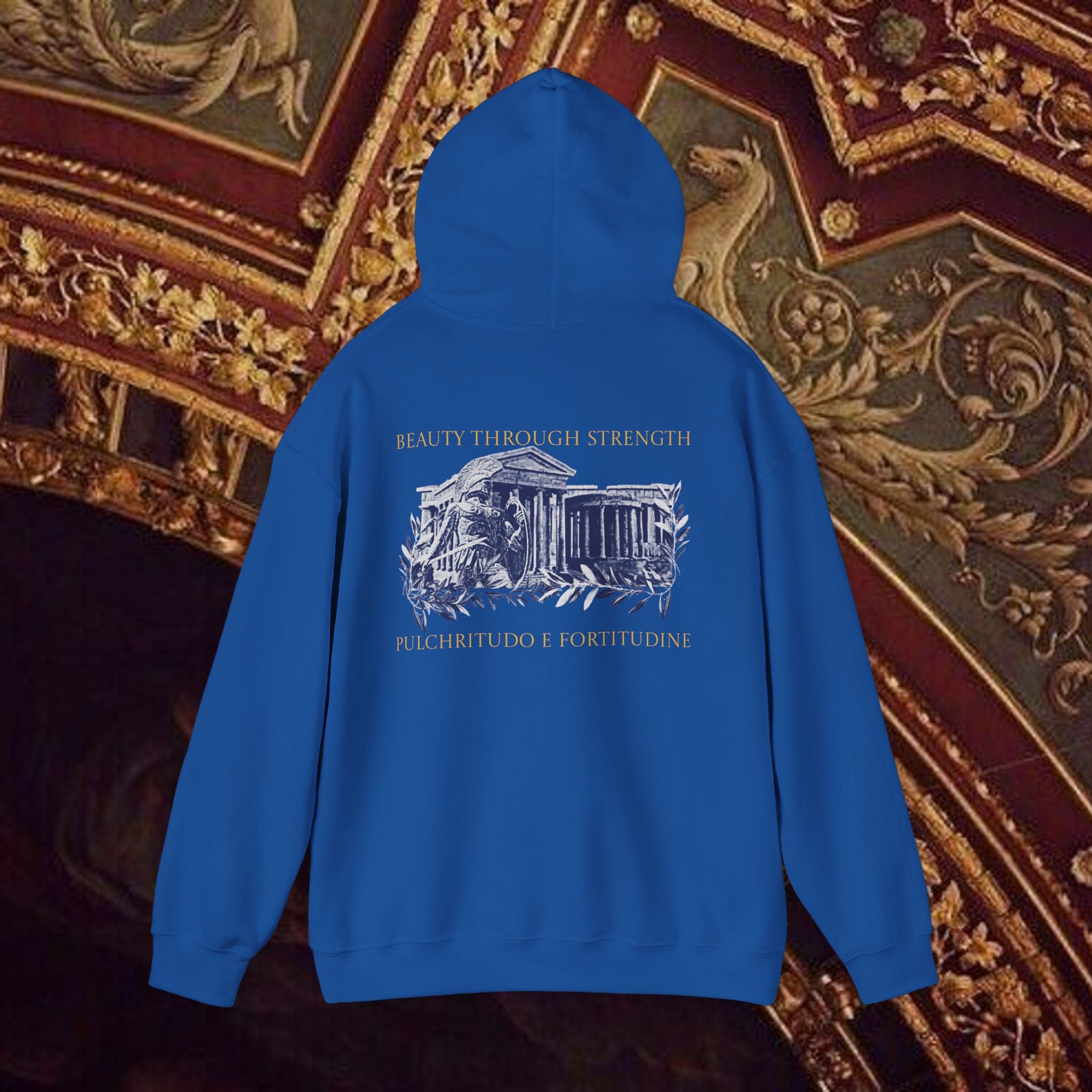 Guardian of the Temple Classically- Inspired Cotton Graphic Hoodie Back Version