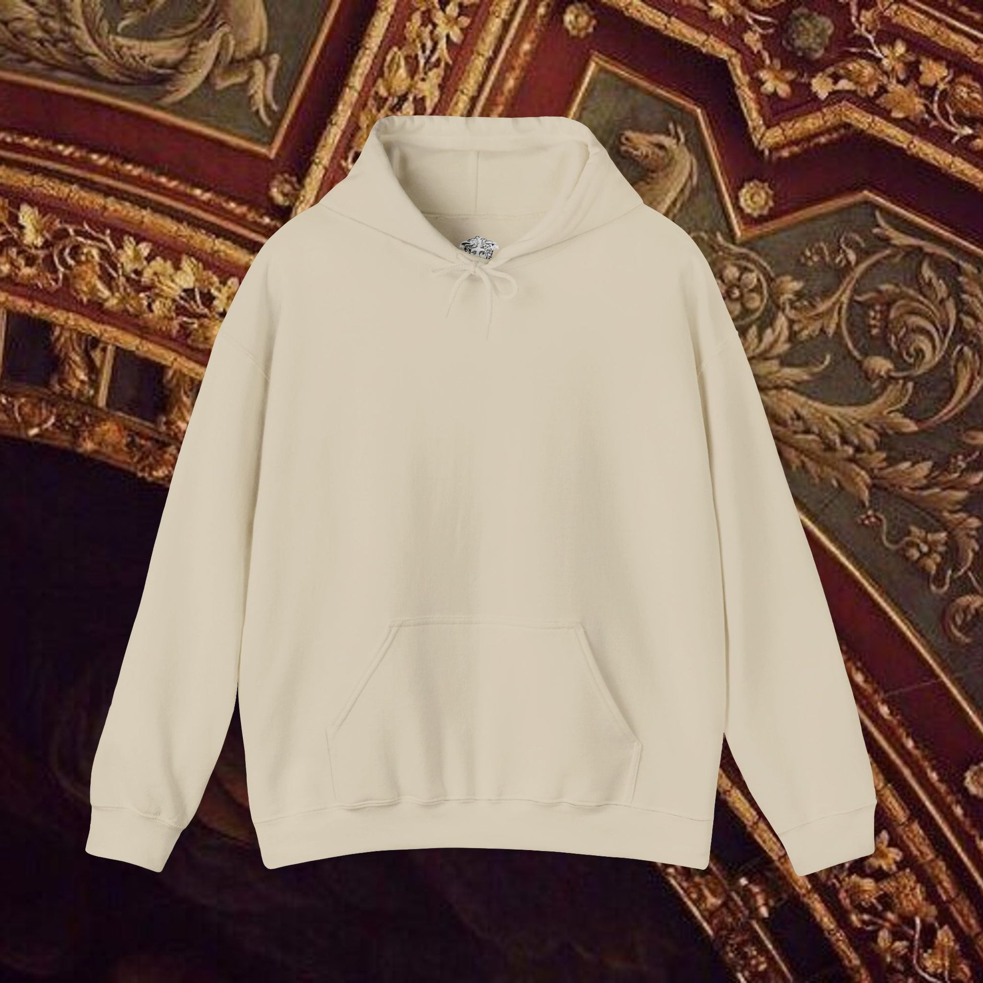 Astrological Vision Hoodie - Esoteric Mystical Graphic Hoodie - Back Version