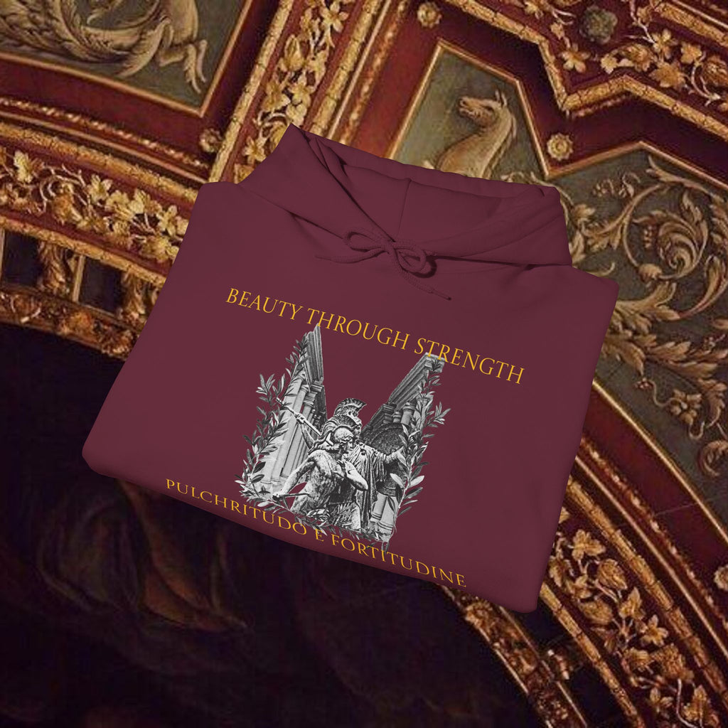 The Goddess's Protection Classically-Inspired Cotton Graphic Hoodie