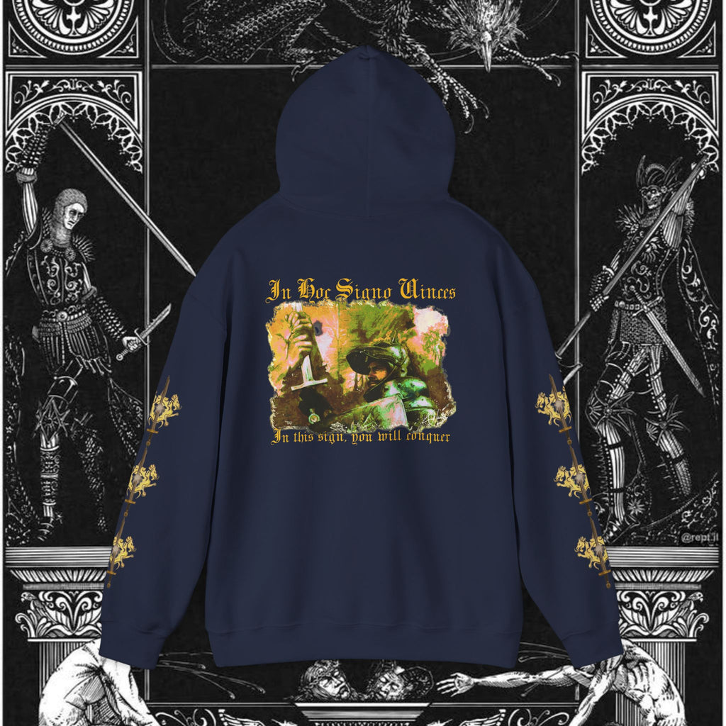 The King's Destiny Medieval Fantasy Graphic Hoodie