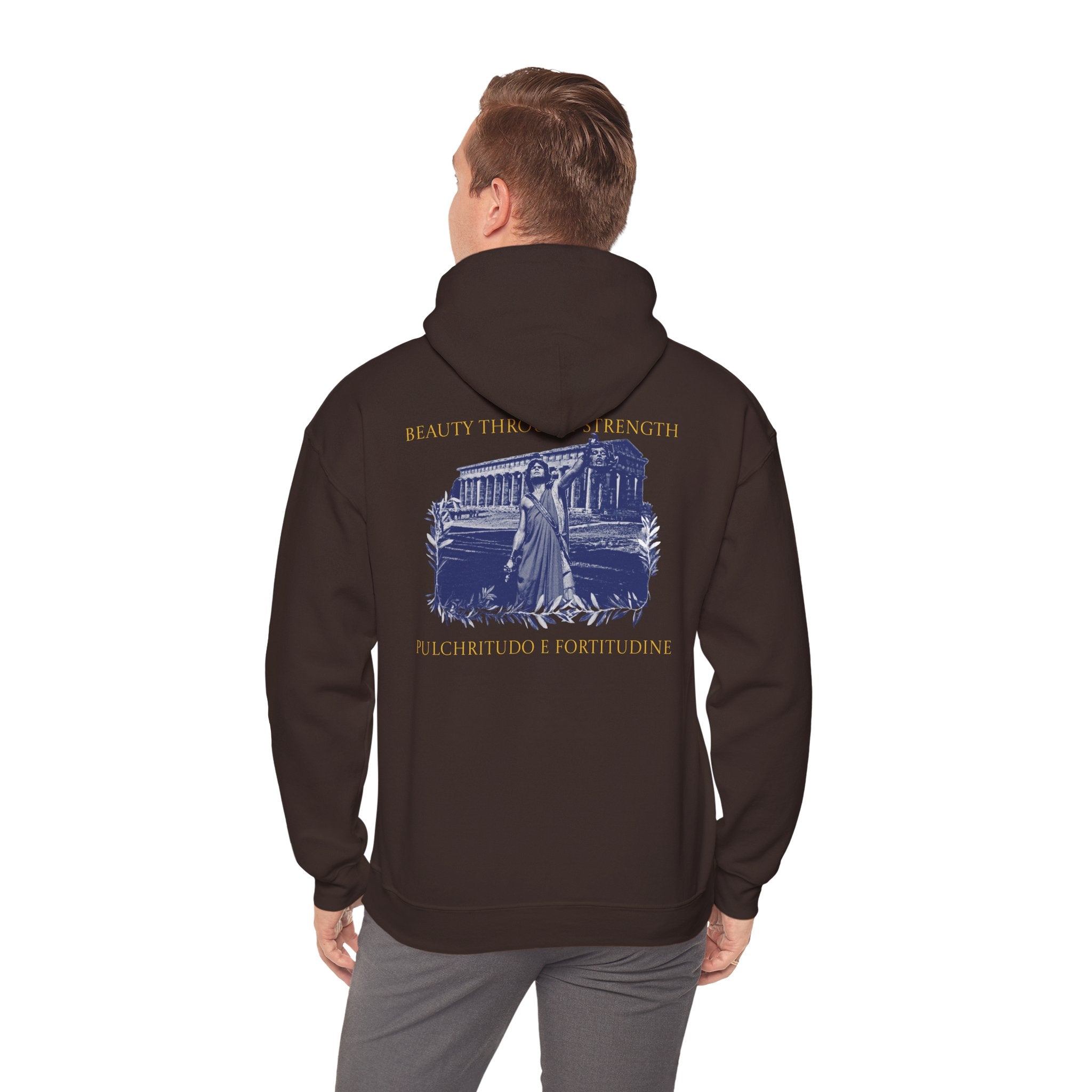 The Hero's Victory Classically-Themed Cotton Graphic Hoodie