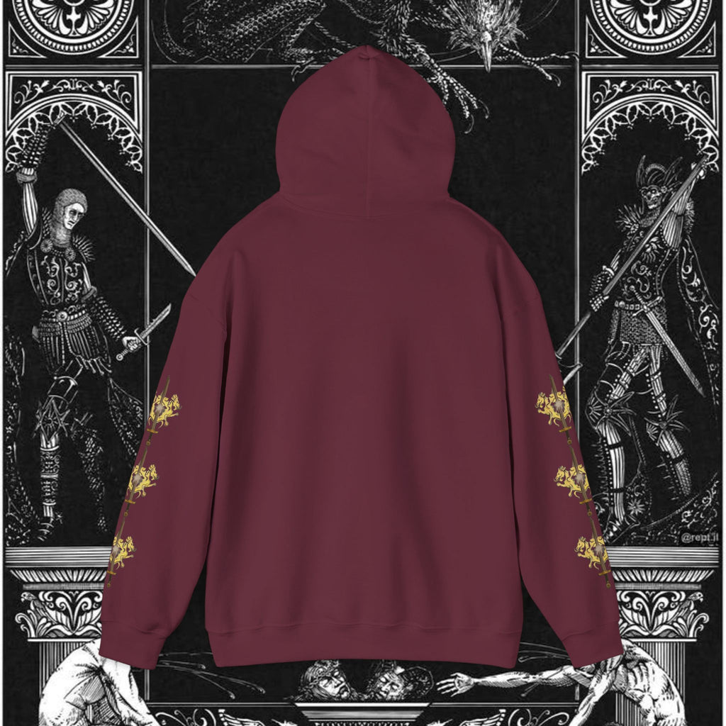 The King's Destiny Medieval Fantasy Graphic Hoodie