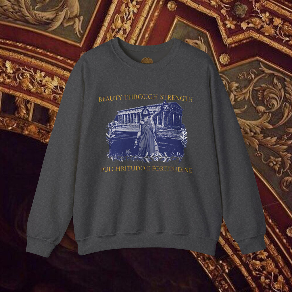 The Hero's Victory Classically-Themed Cotton Graphic T Sweatshirt