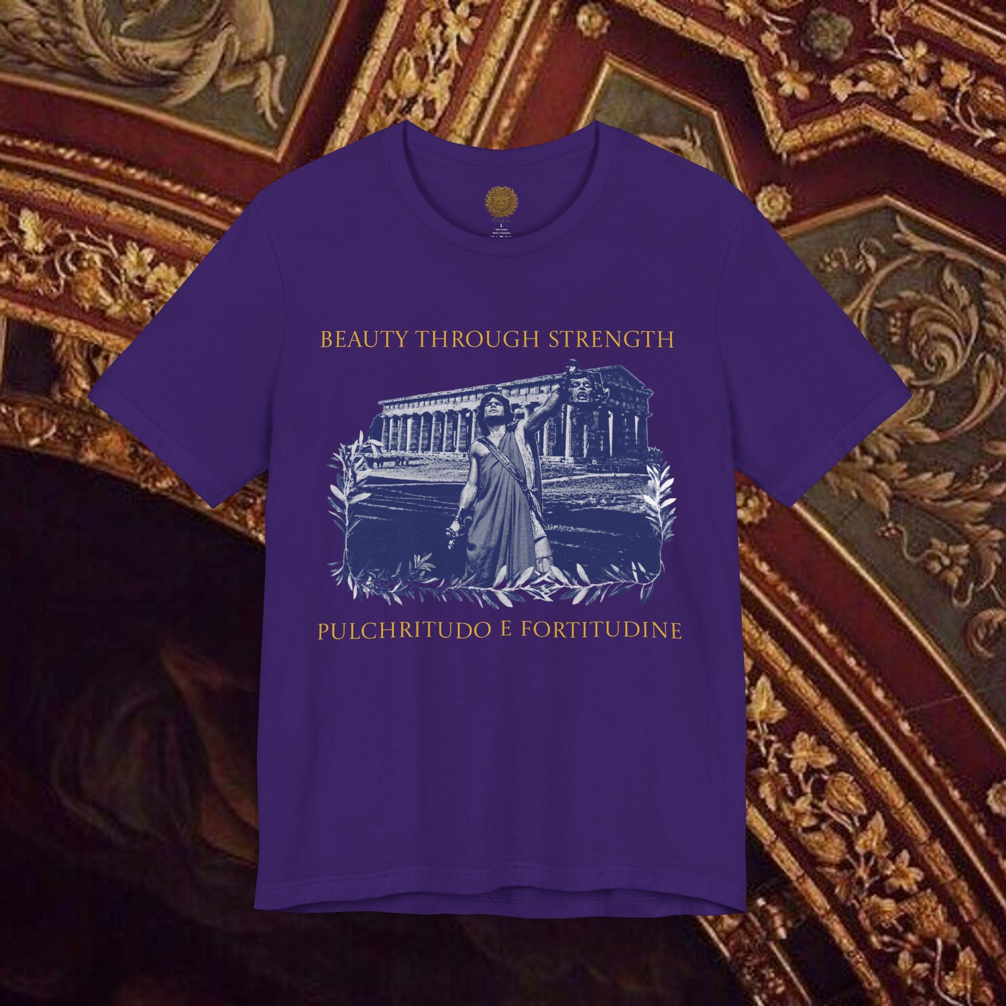 The Hero's Victory Classically-Themed Cotton Graphic T Shirt